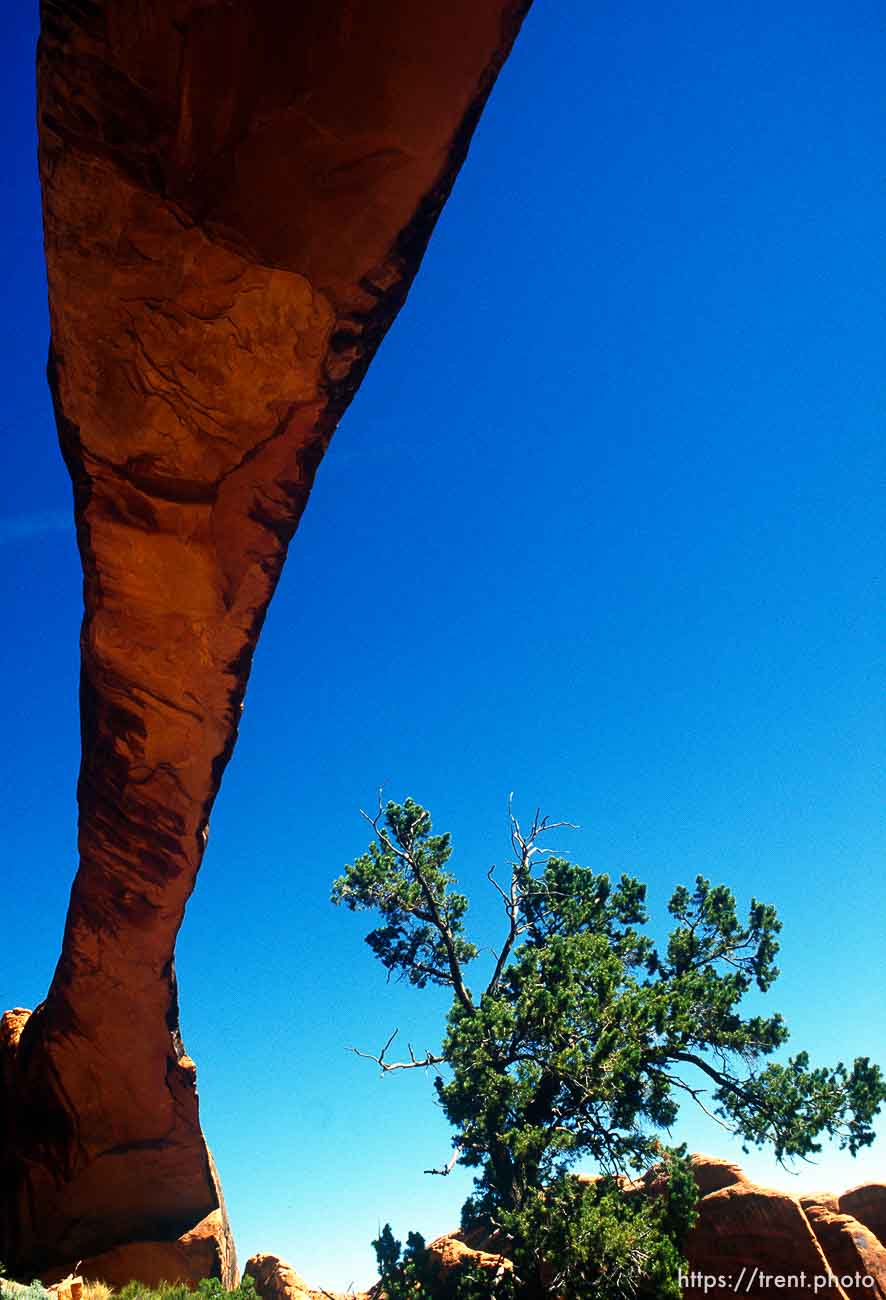 Landscape Arch, may 1988.