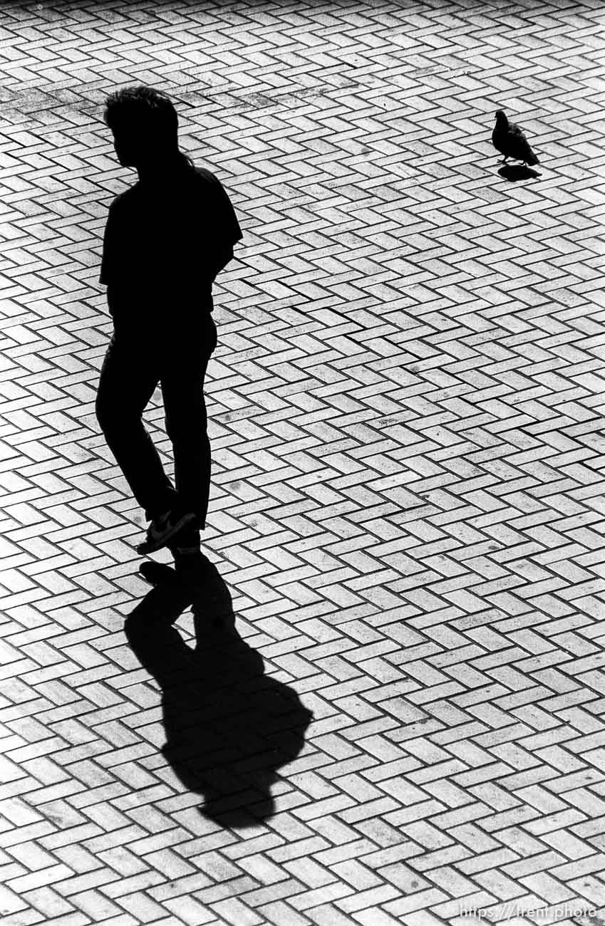 man and pigeon at 5th and Market St.