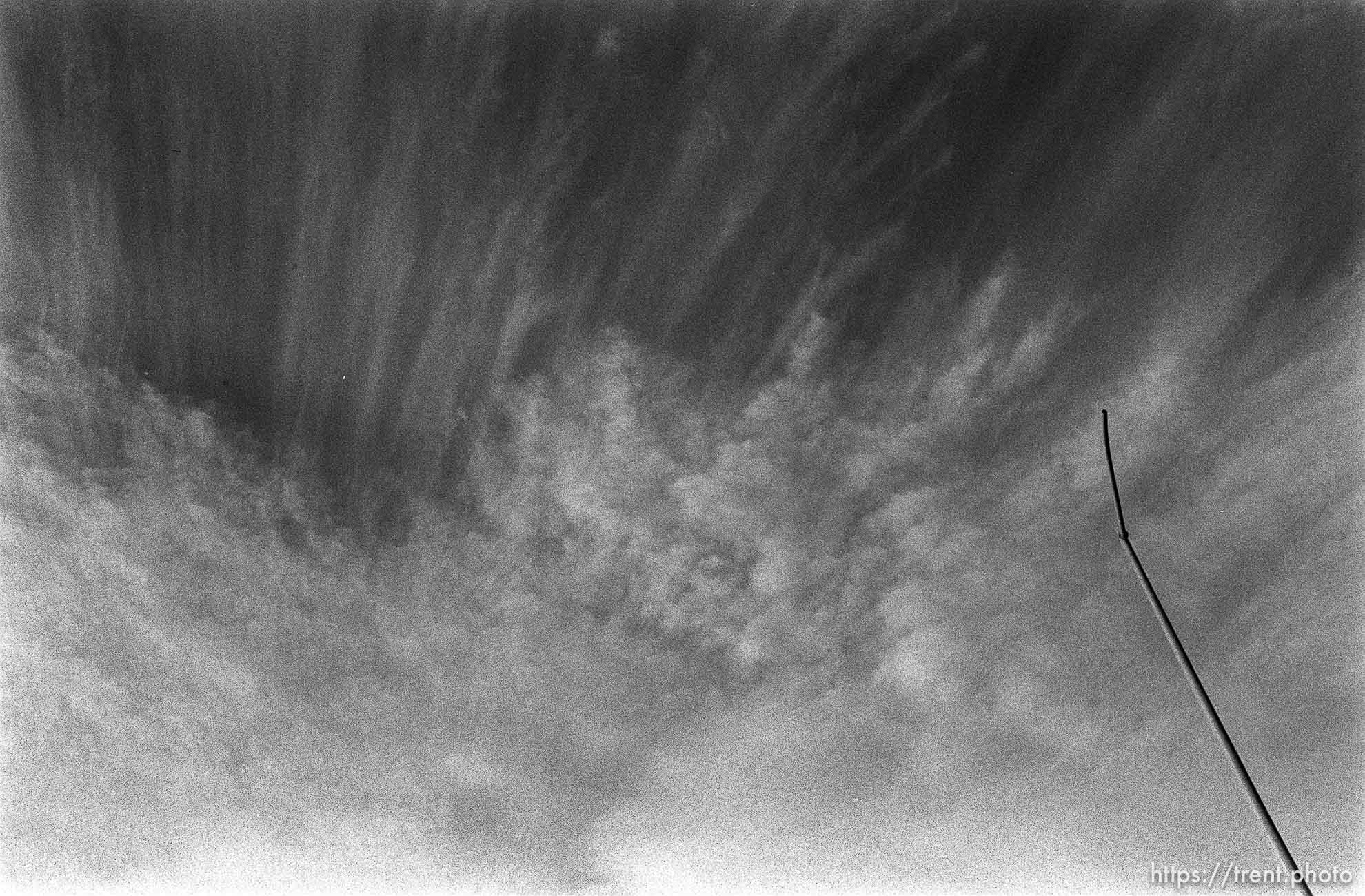 Lightpost, off San Ramon Valley Blvd.