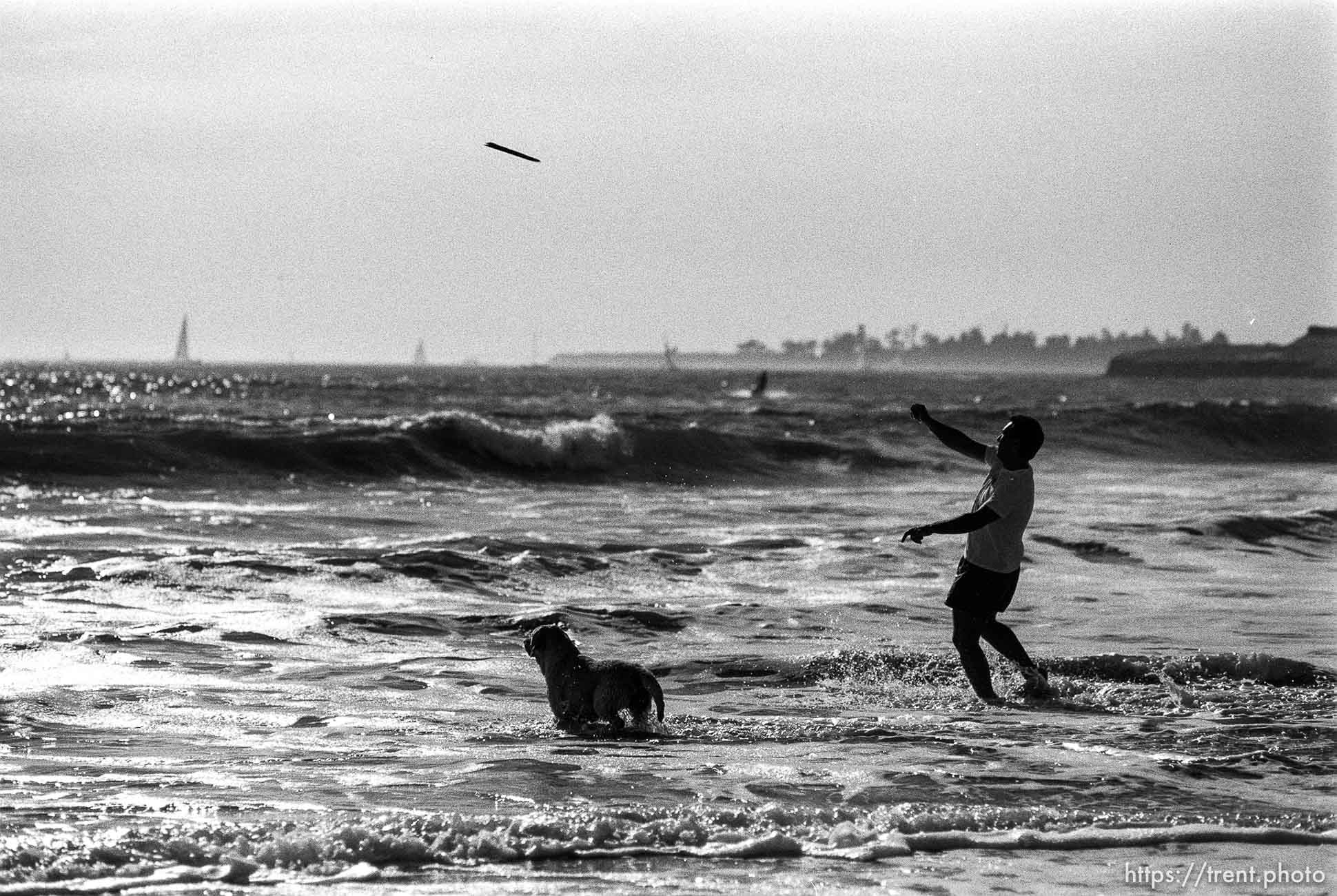 Guy throwing stick into the waves for his dog to fetch.