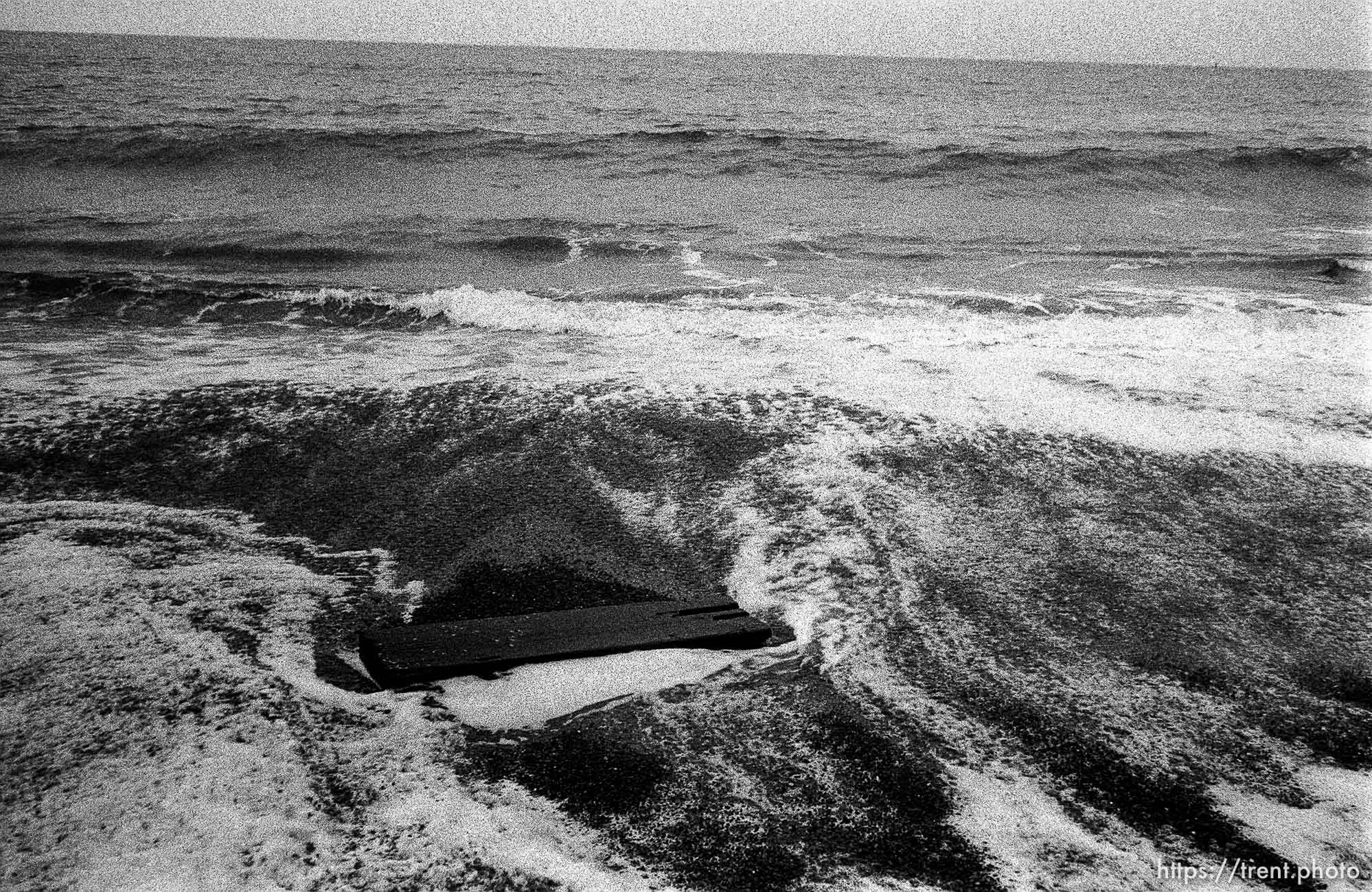 log in waves at beach.