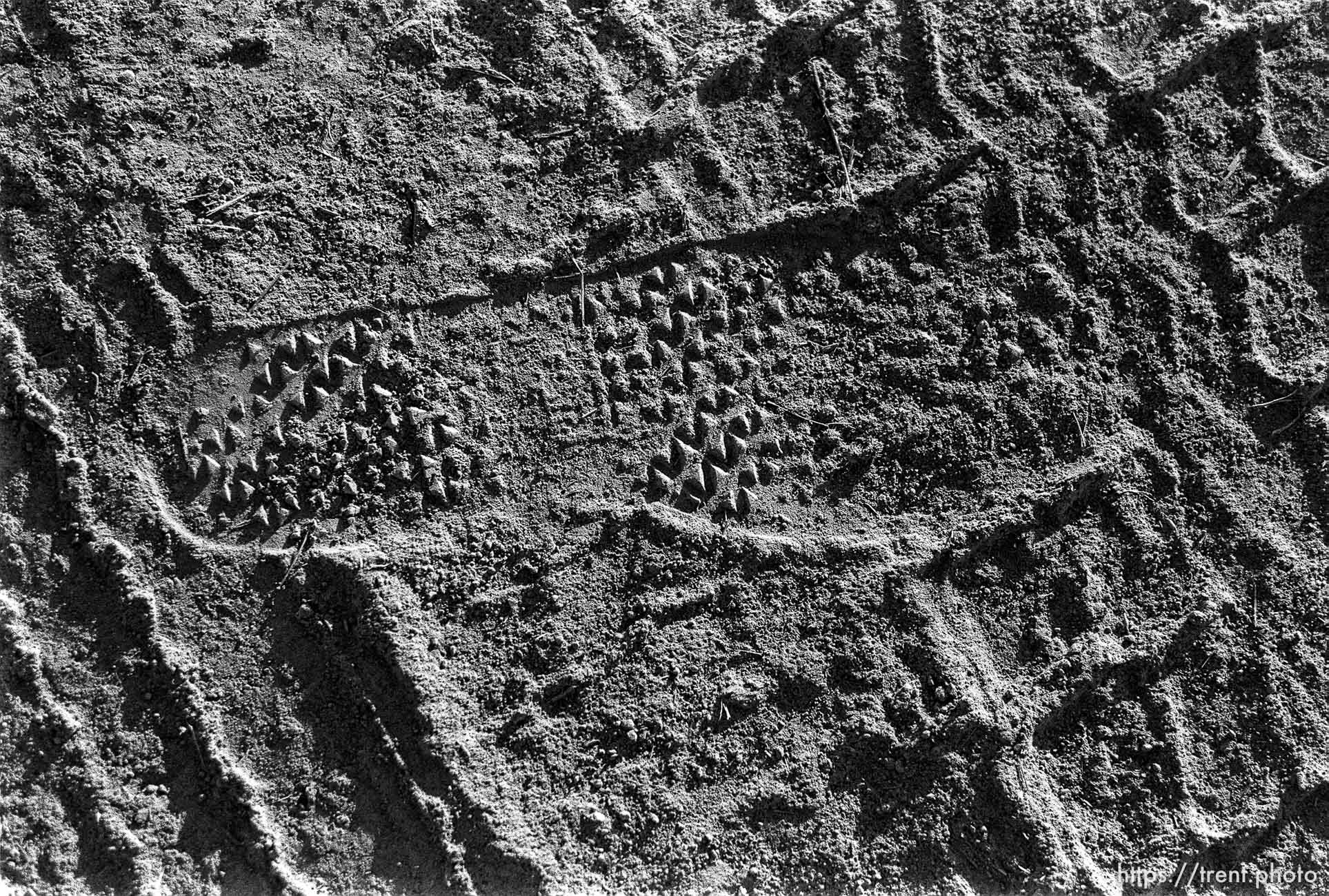 footprint in sand.