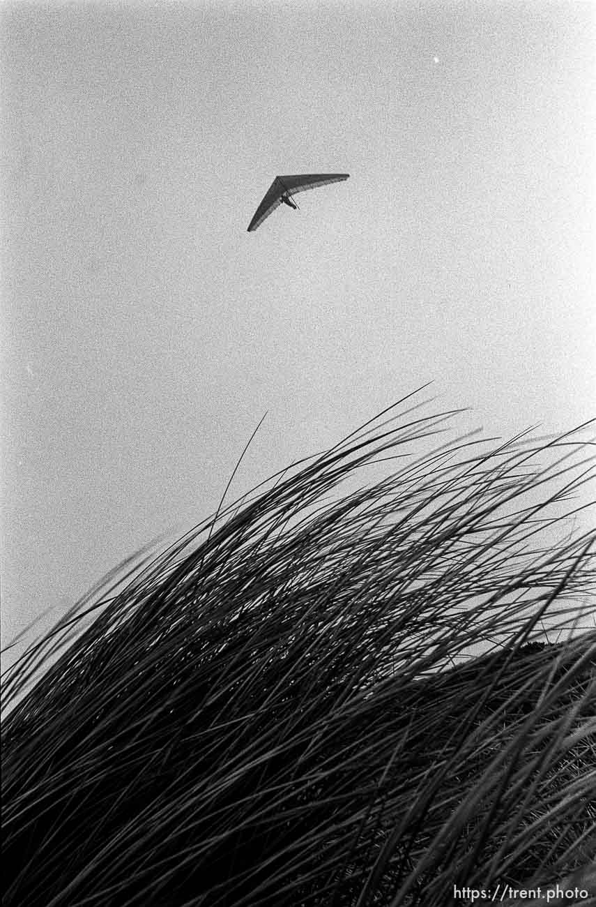 hang glider above Fort Funston