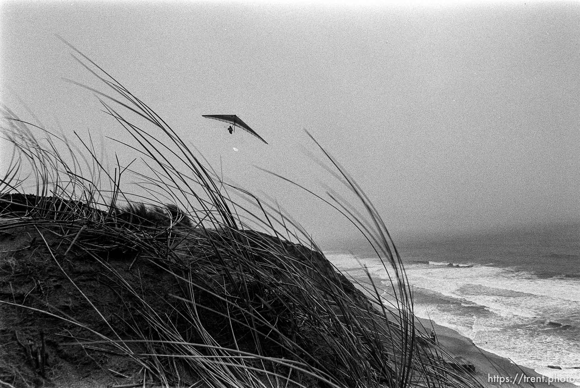 hang glider at Fort Funston.