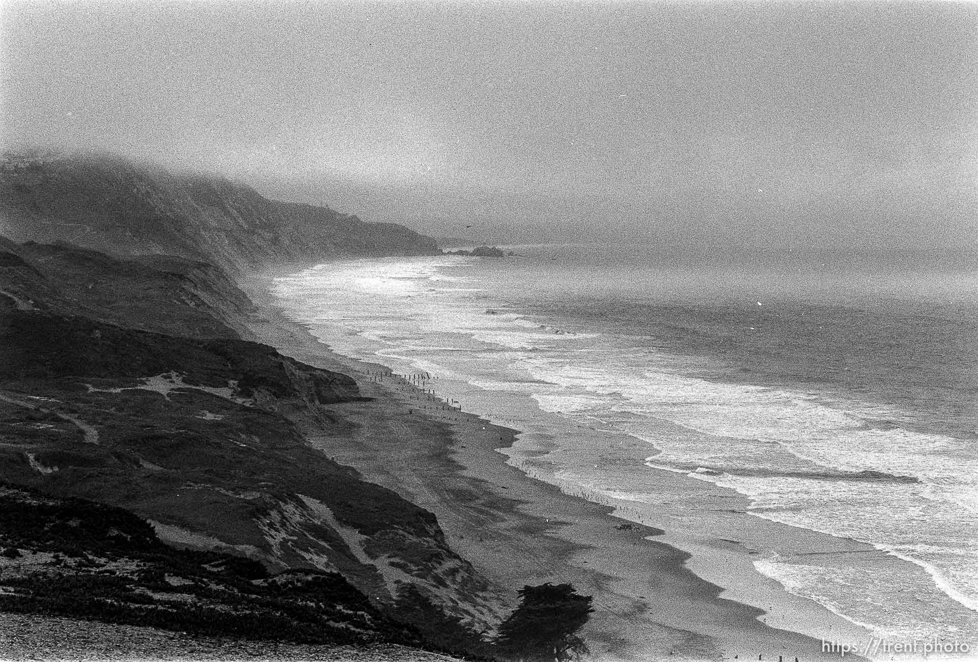 foggy shoreline at Fort Funston.