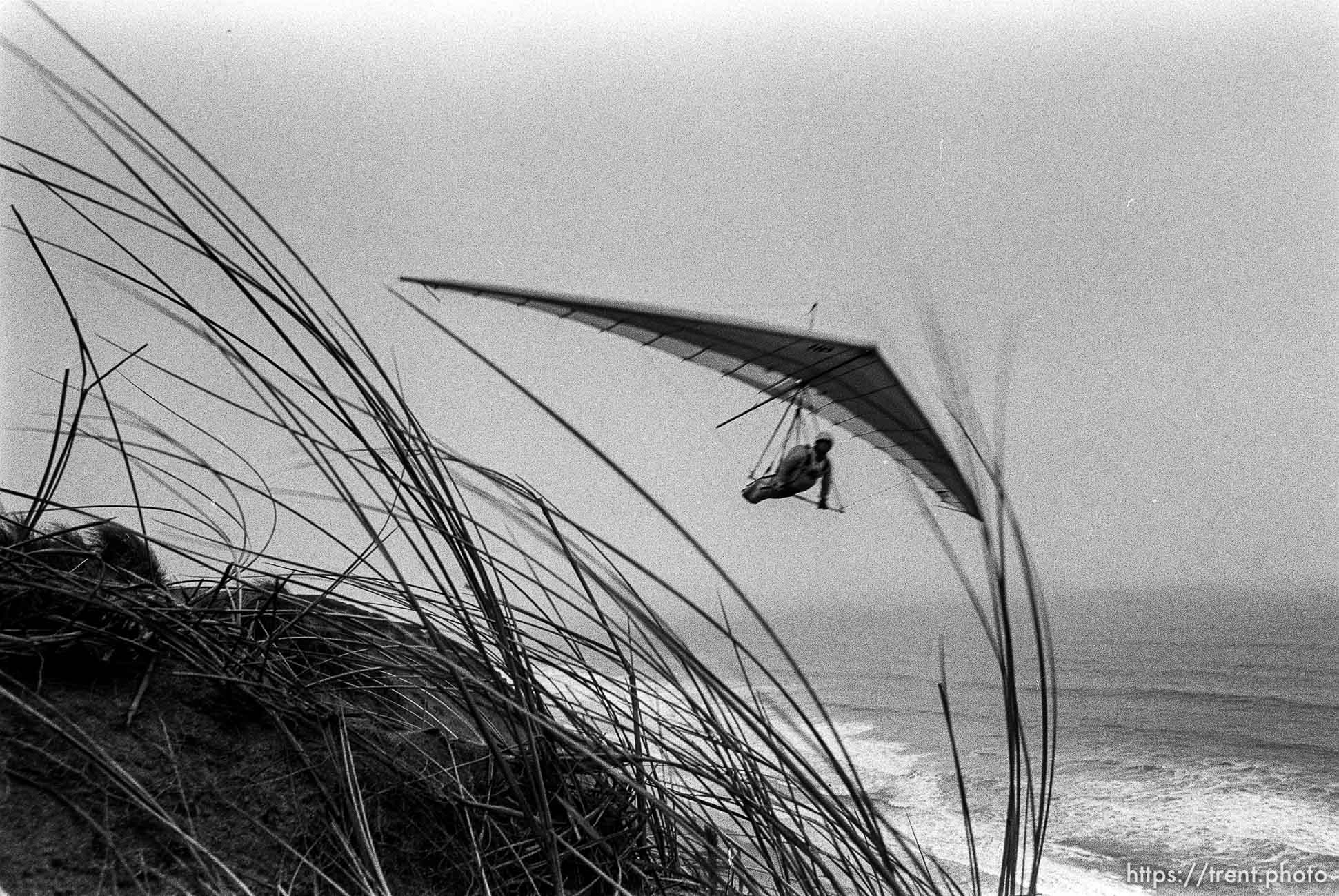 hang glider at Fort Funston.