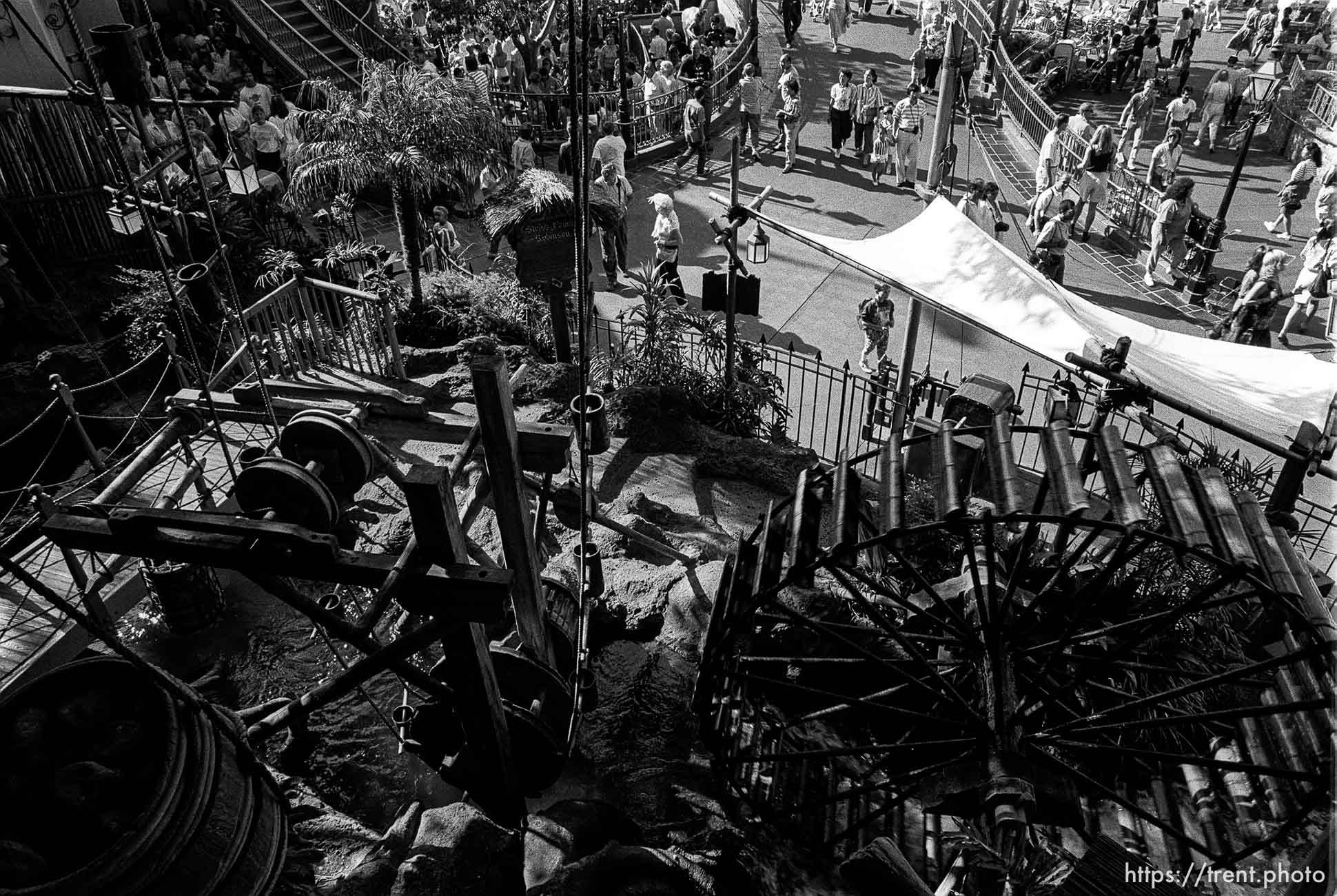 The Swiss Family Robinson Treehouse at Disneyland.