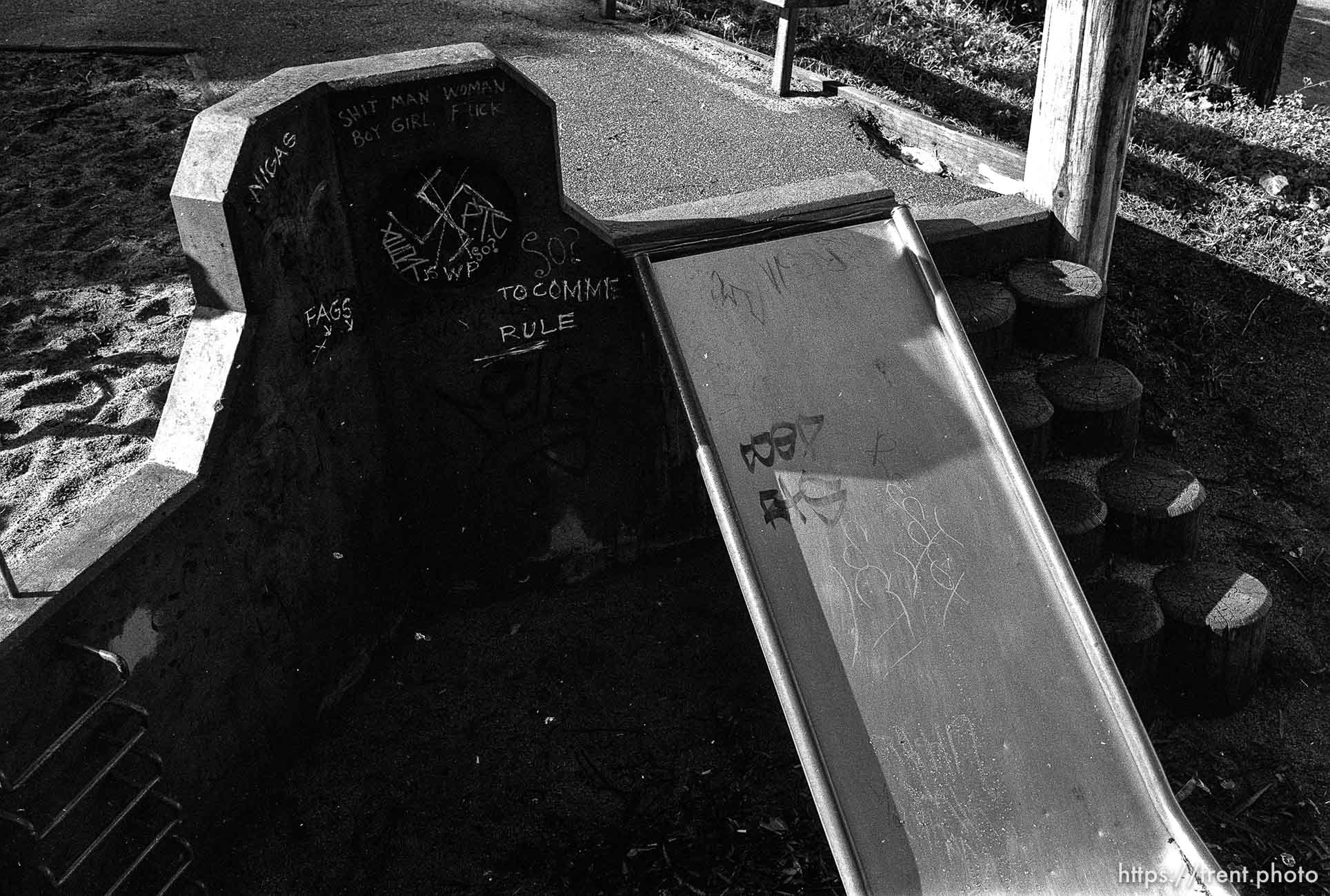 Nazi skinhead graffiti at a park in the Haight-Ashbury District.