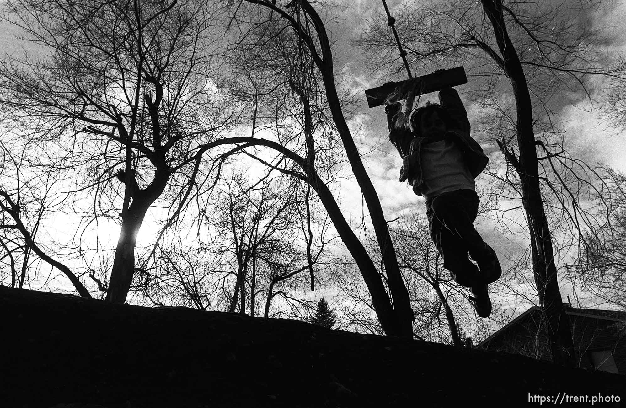 Kids swinging on swing.