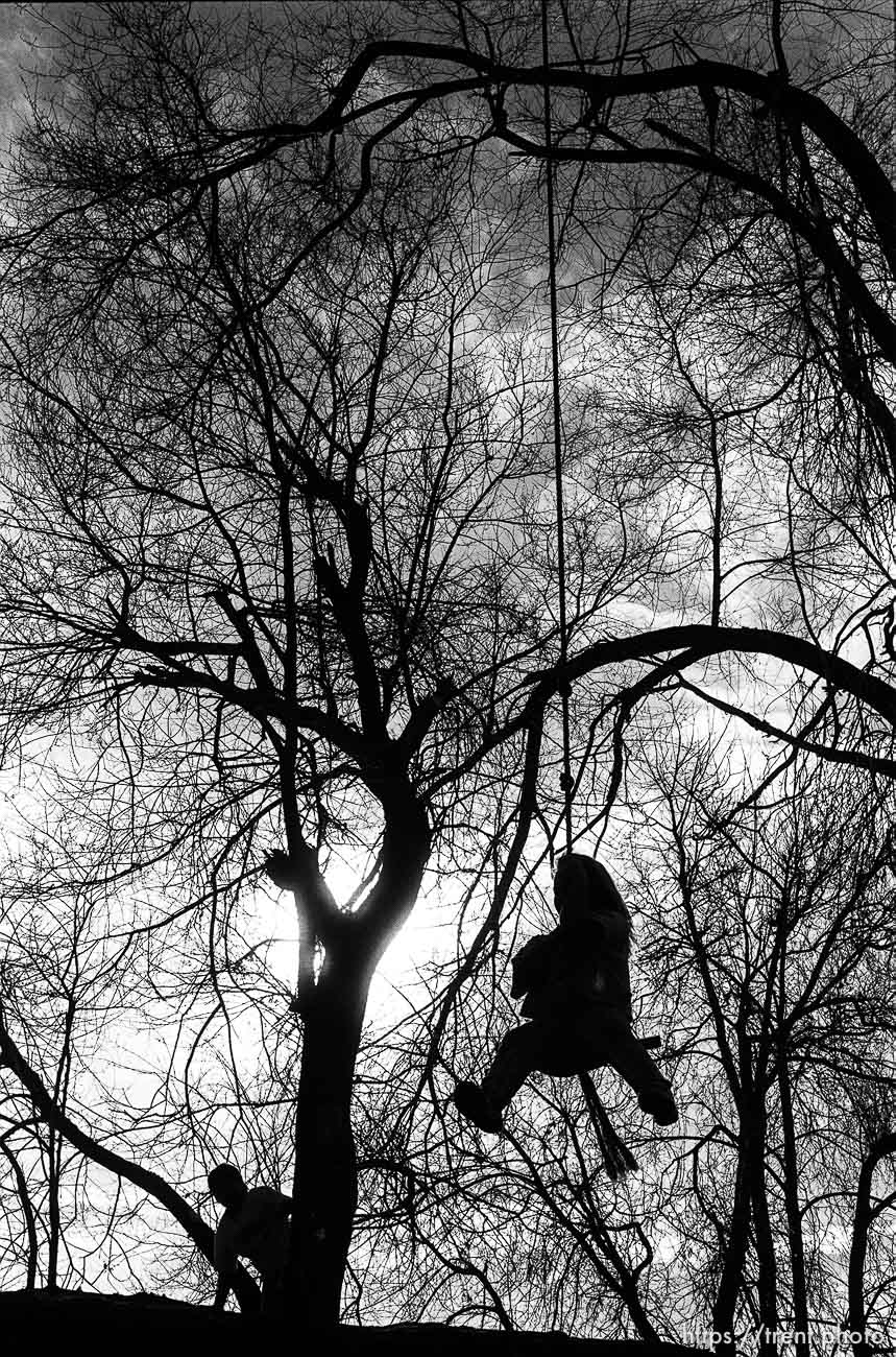 Kids swinging on swing.