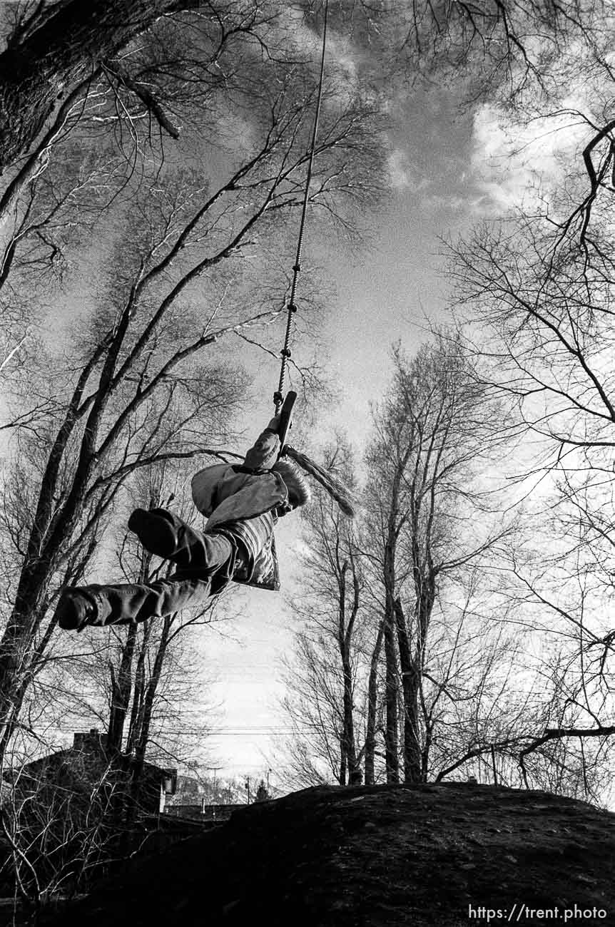 Kids swinging on swing.