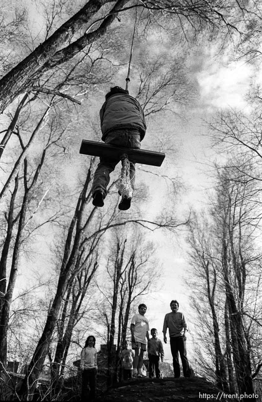 Kids swinging on swing.