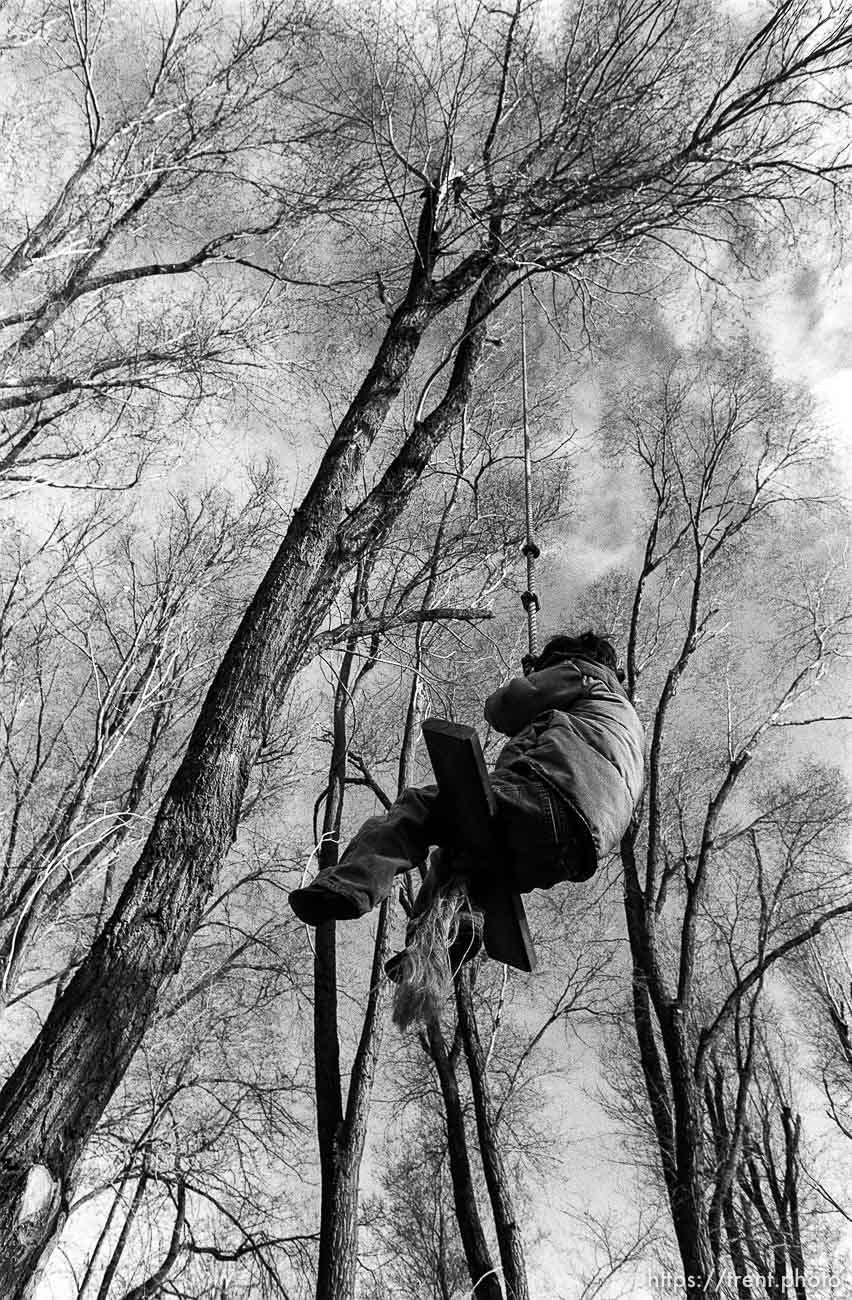 Kids swinging on swing.