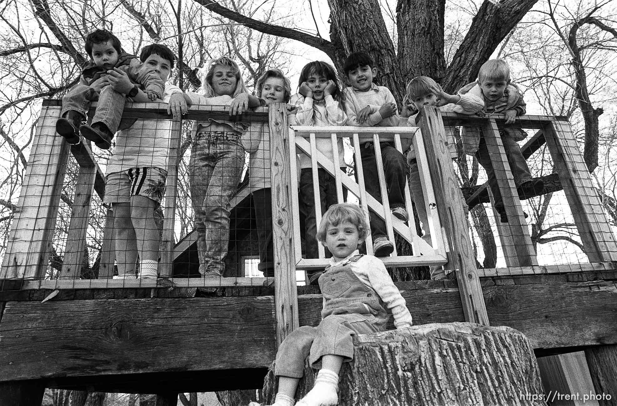 Kids and their treehouse.