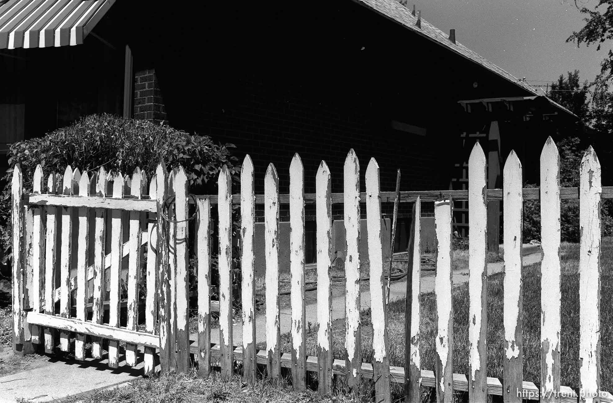 White picket fence at Nana's house.