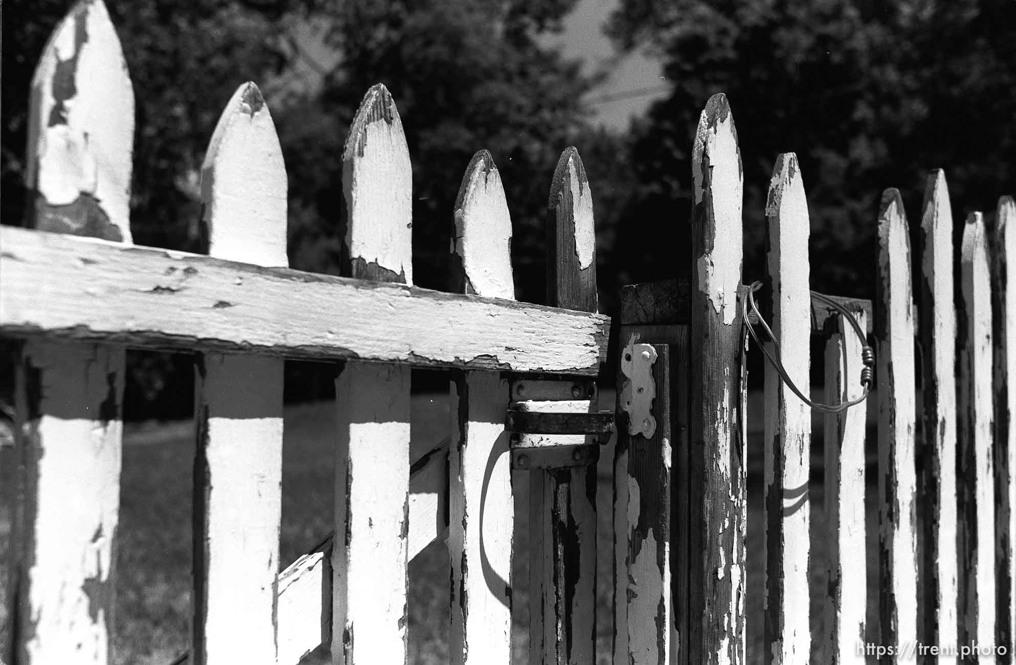 White picket fence at Nana's house.