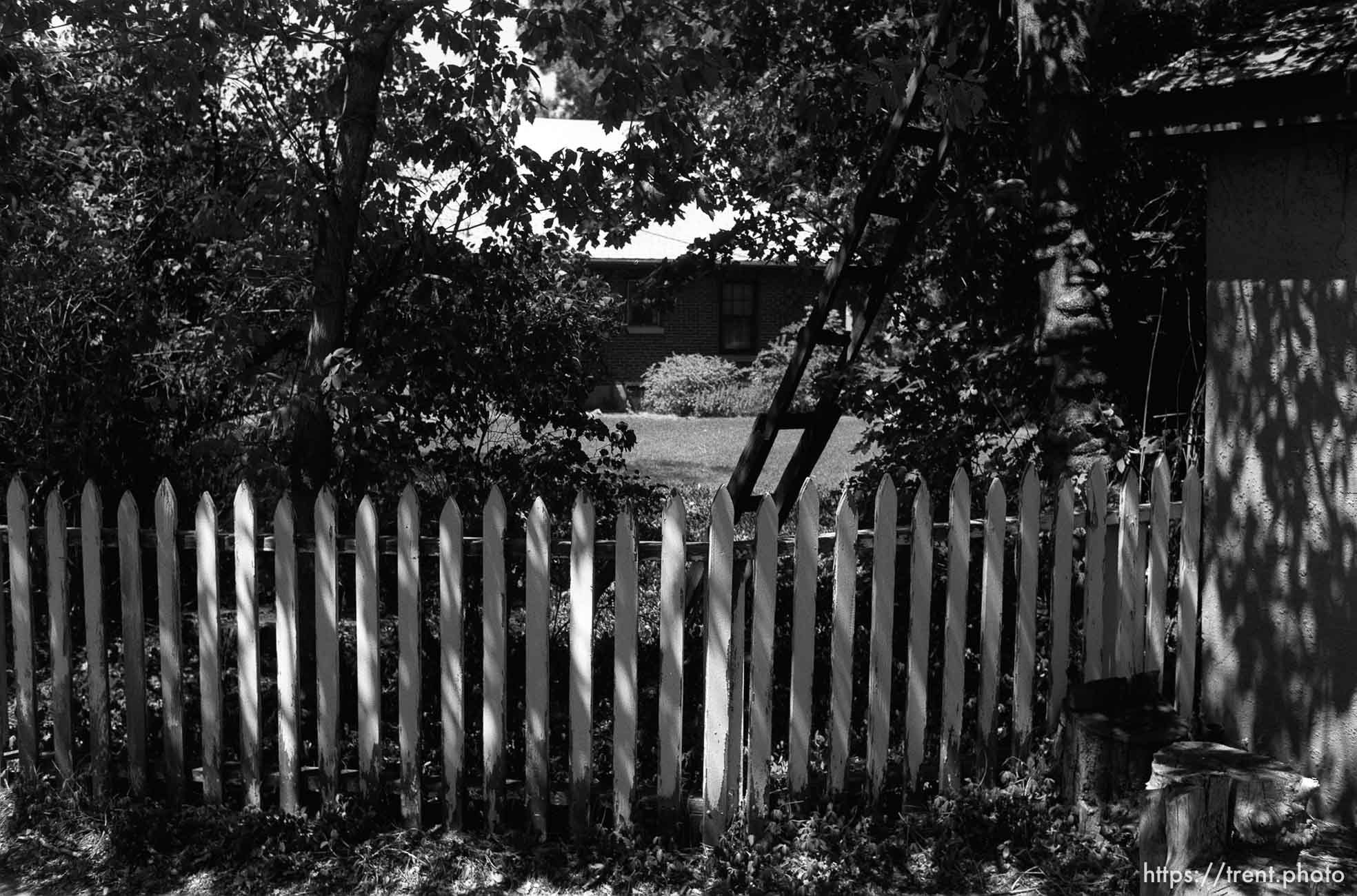 white picket fence at Nana's house.