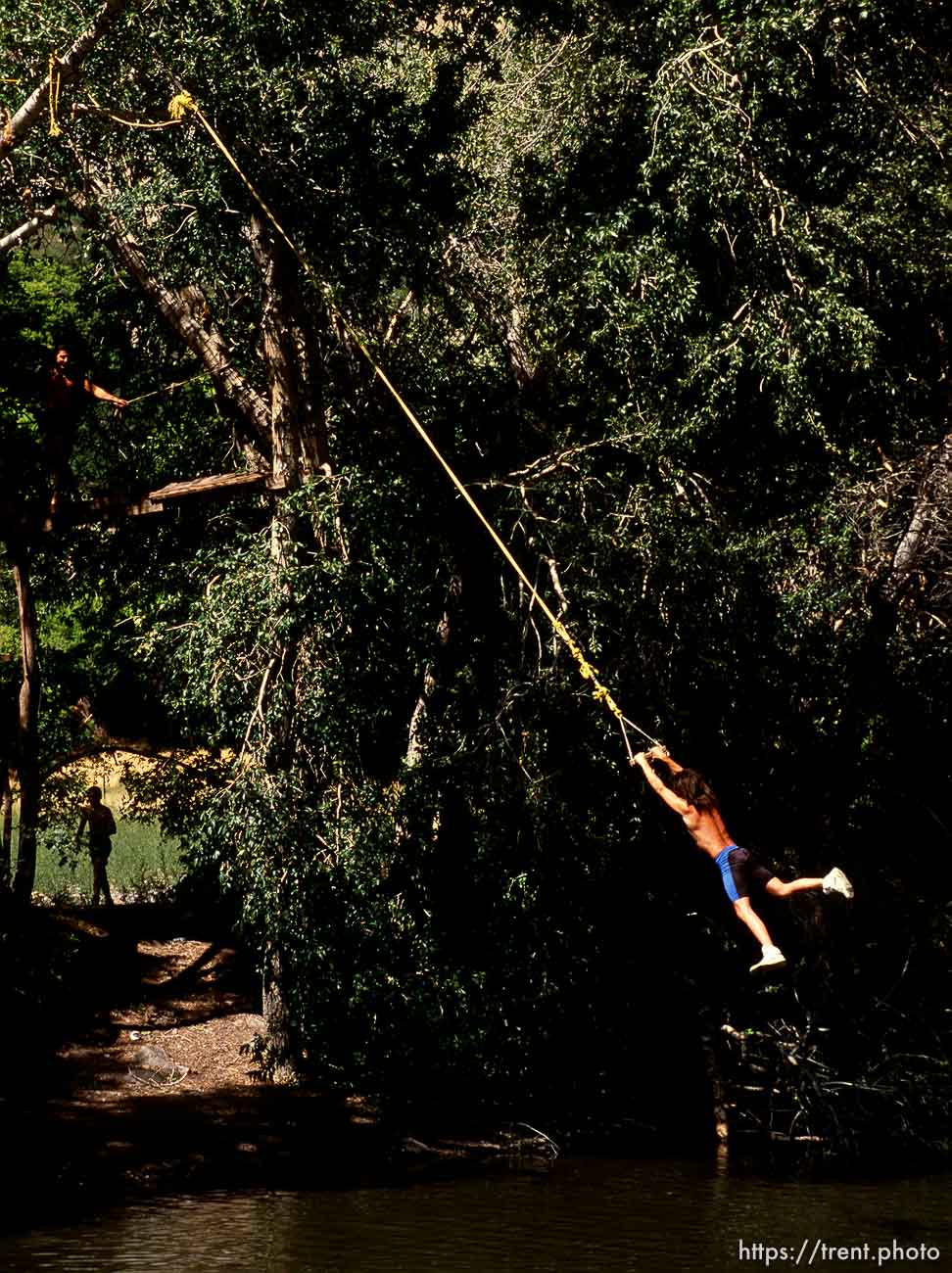 Kid on rope swing.