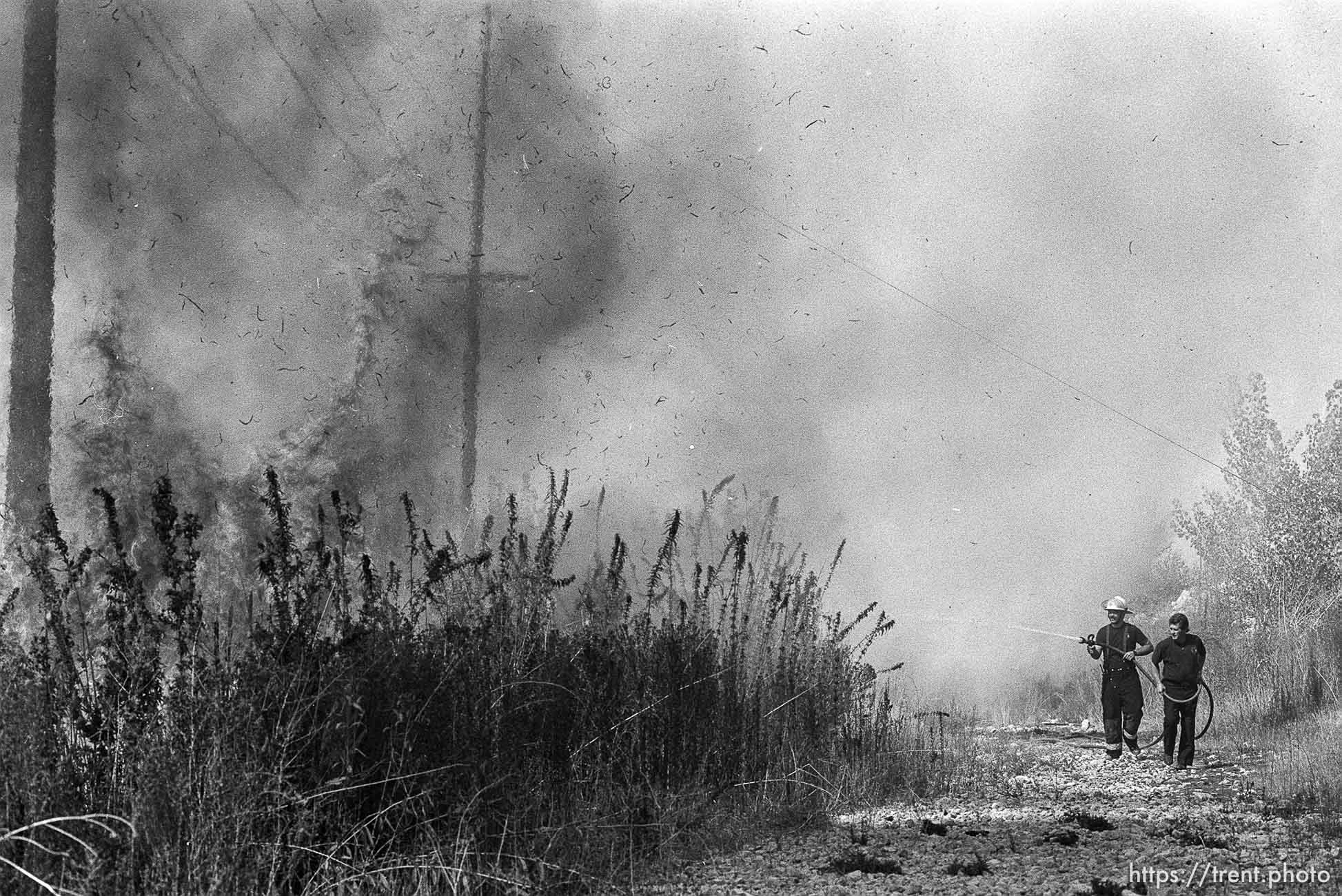 Grassfire in swamp.