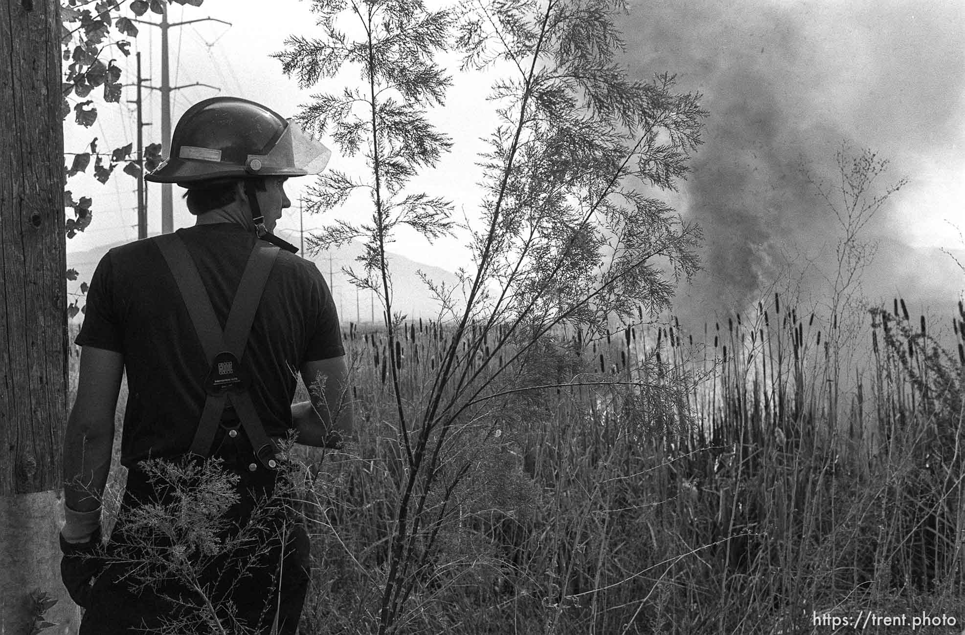 Grassfire in swamp.