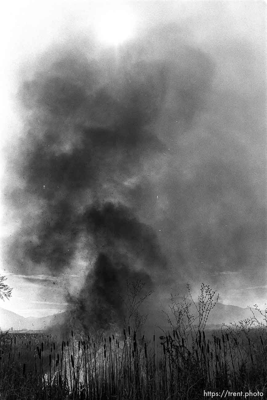 Grassfire in swamp.