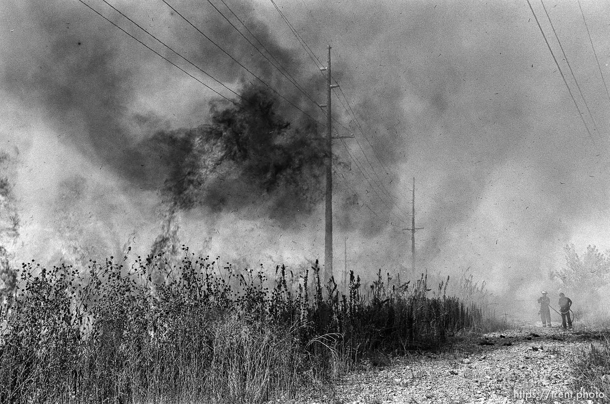 Grassfire in swamp.