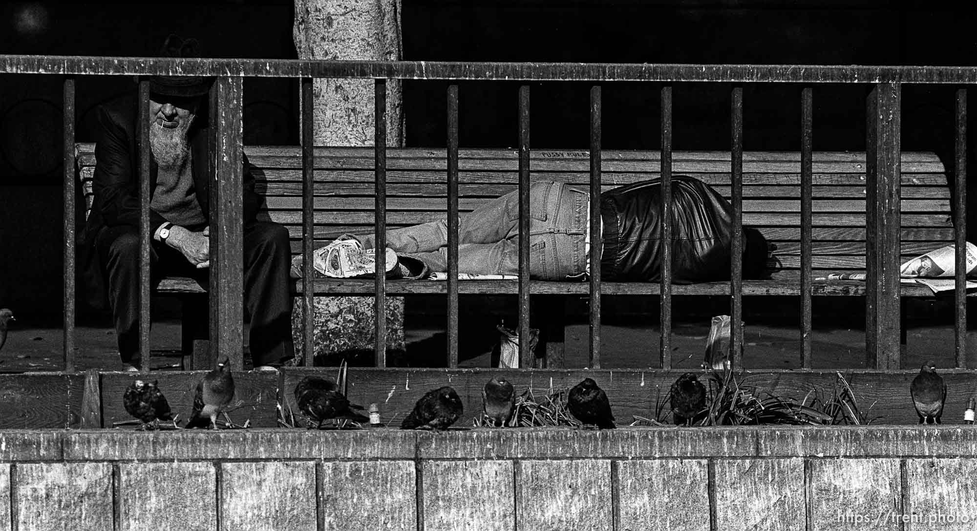 People on bench, one asleep.