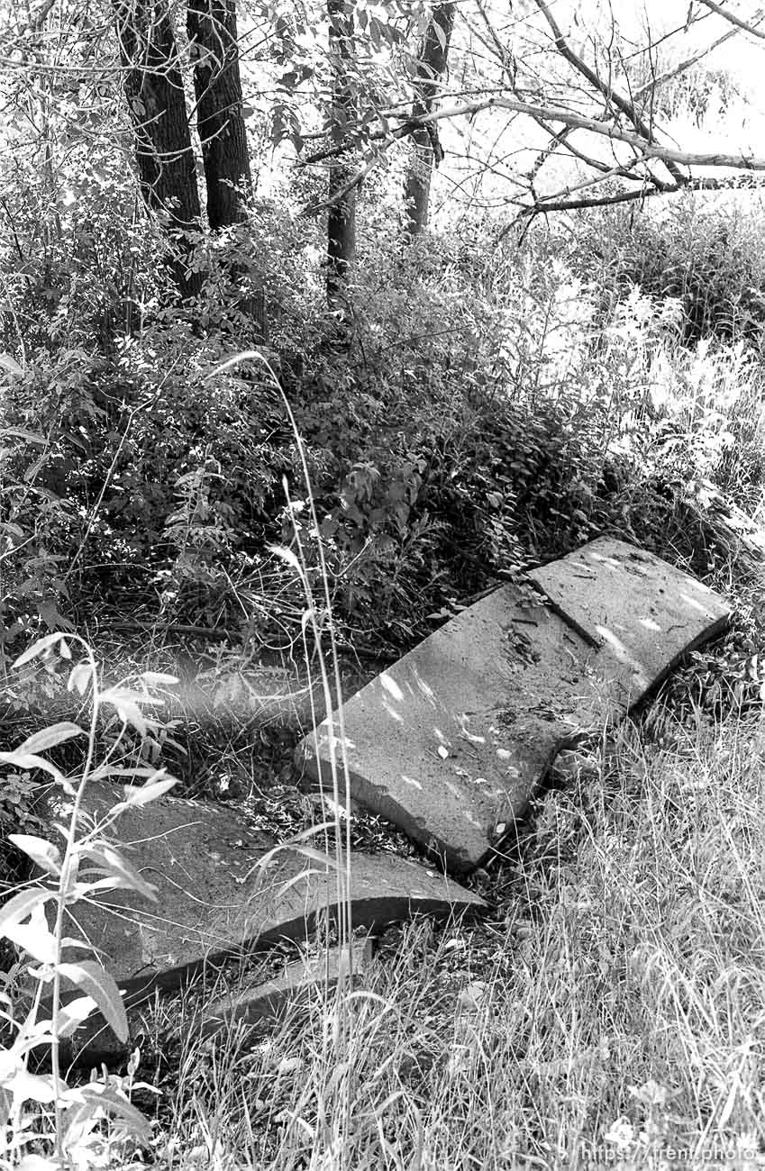 Mattresses in apparent hobo camp.