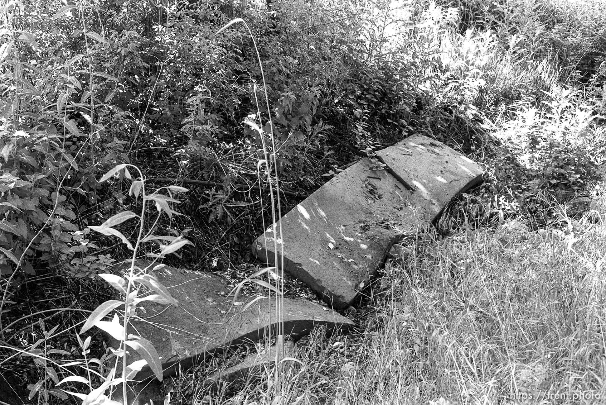 Mattresses in apparent hobo camp.