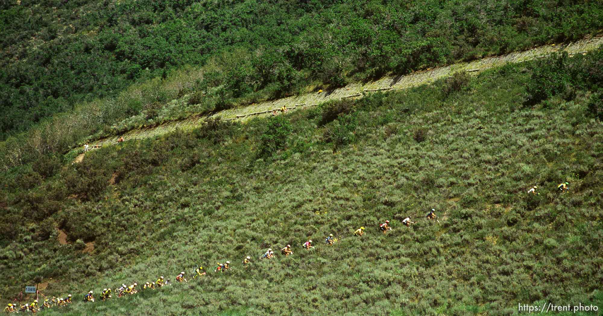 bikers climb hill at NORBA mountain bike race