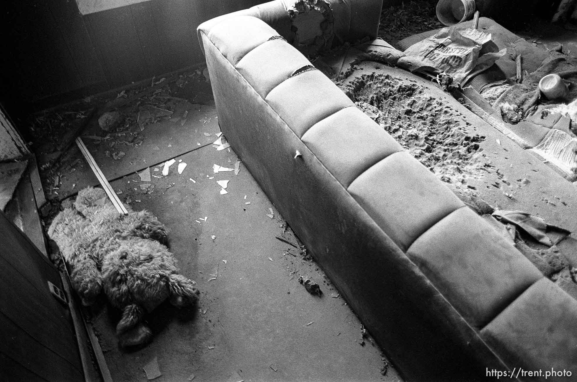 Teddy bear and old couch in abandoned house.