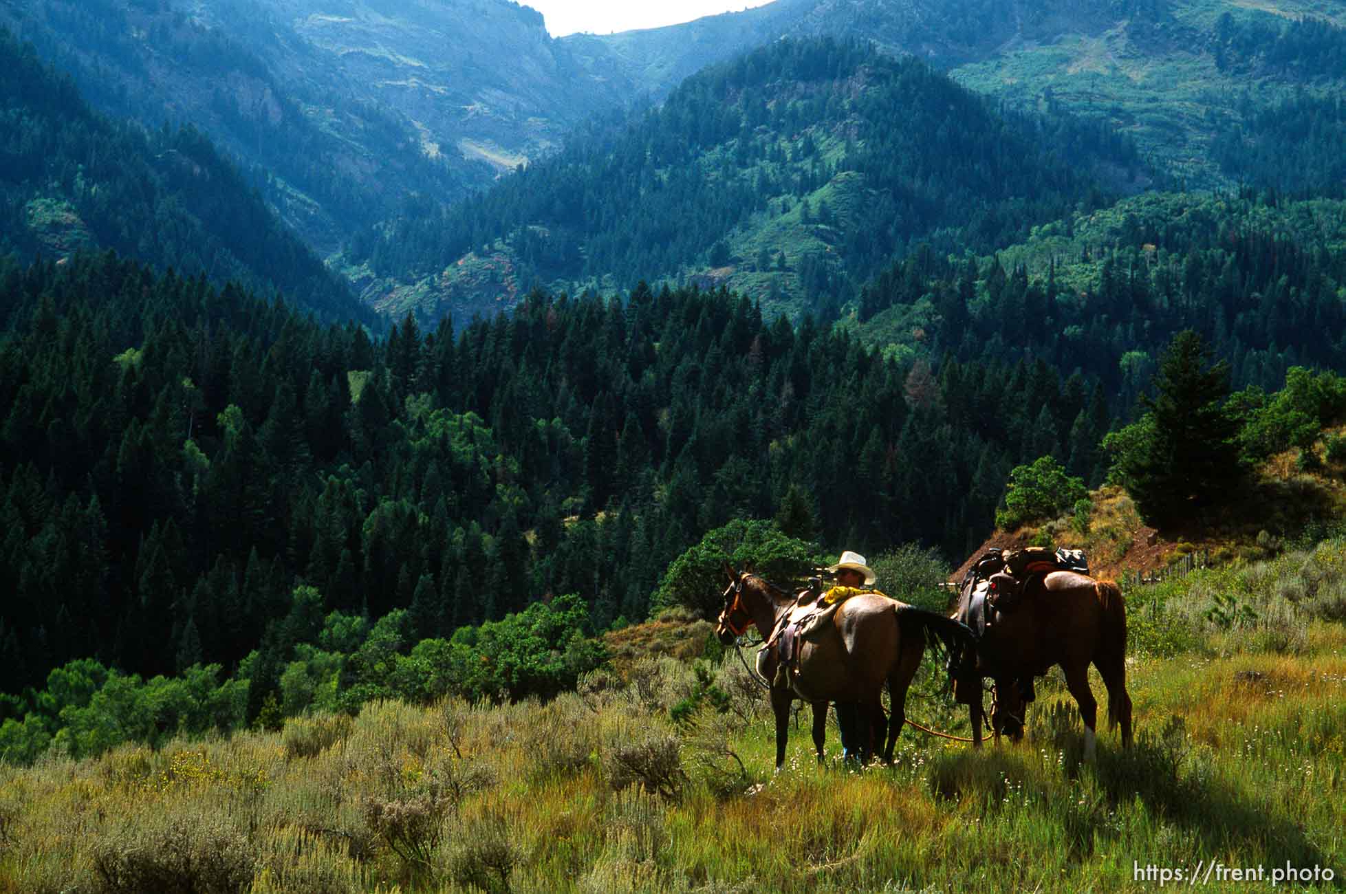 Sheriff's posse in American Fork Canyon, looking for two escaped convicts.