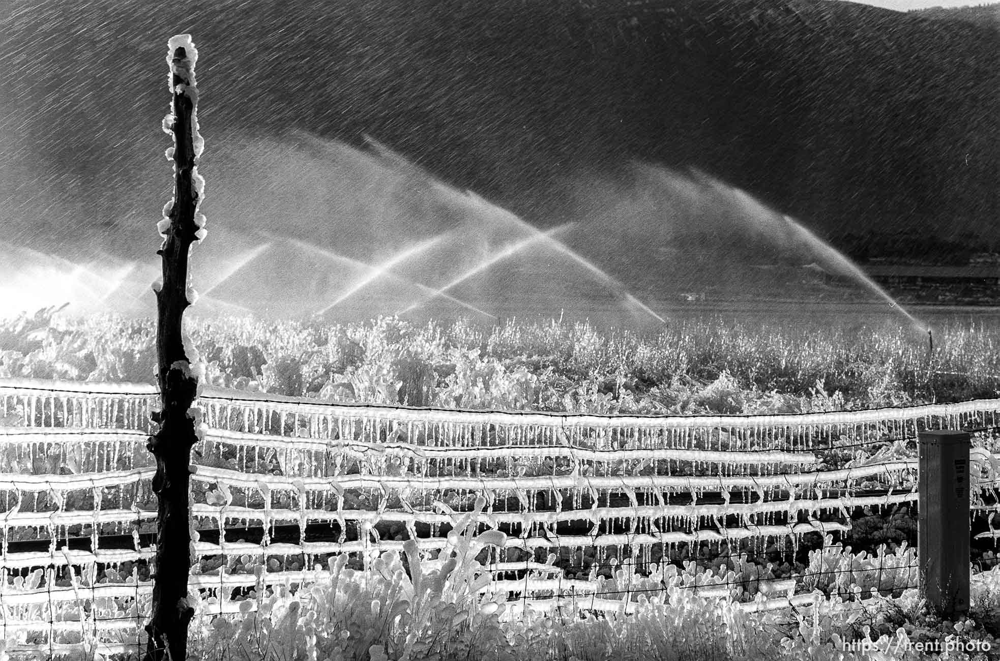 Sprinklers making ice on fence.