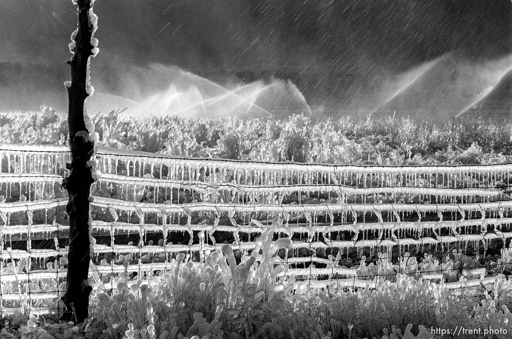 Sprinklers making ice on fence.