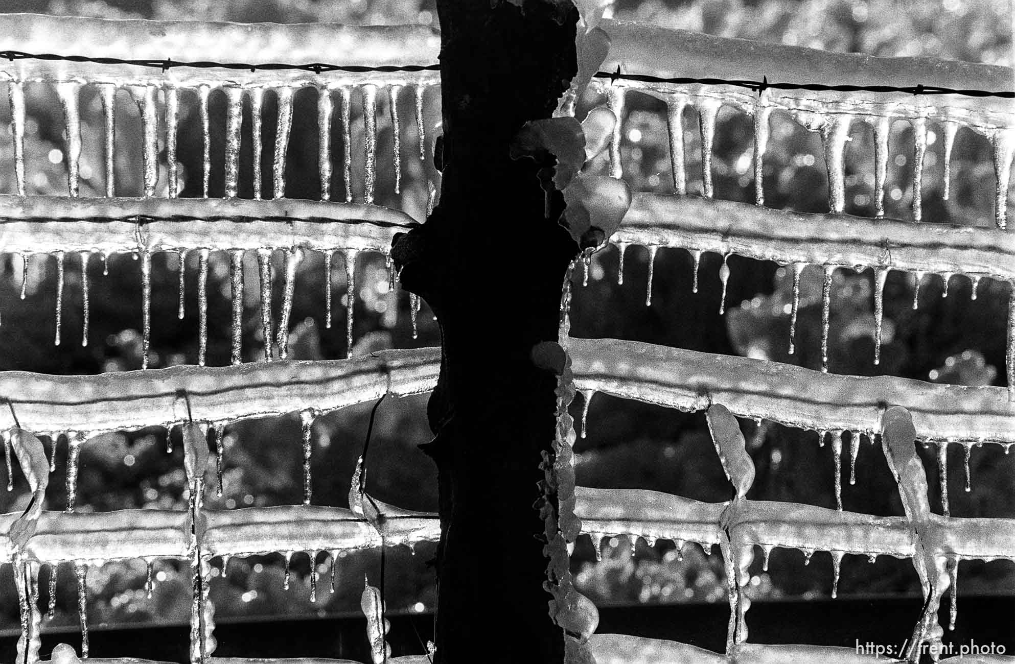 Sprinklers making ice on fence.