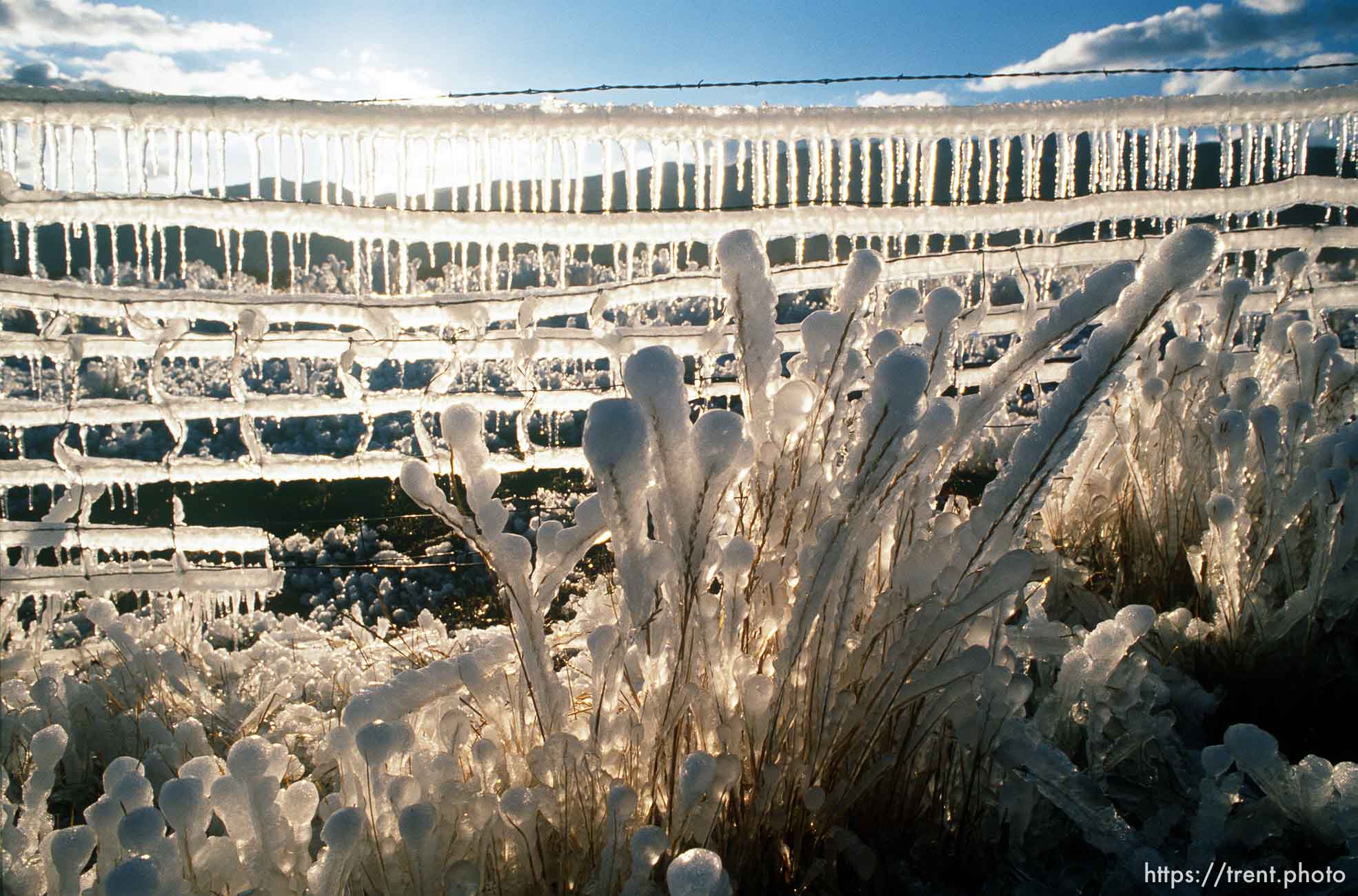 Sprinklers leave ice on a fence