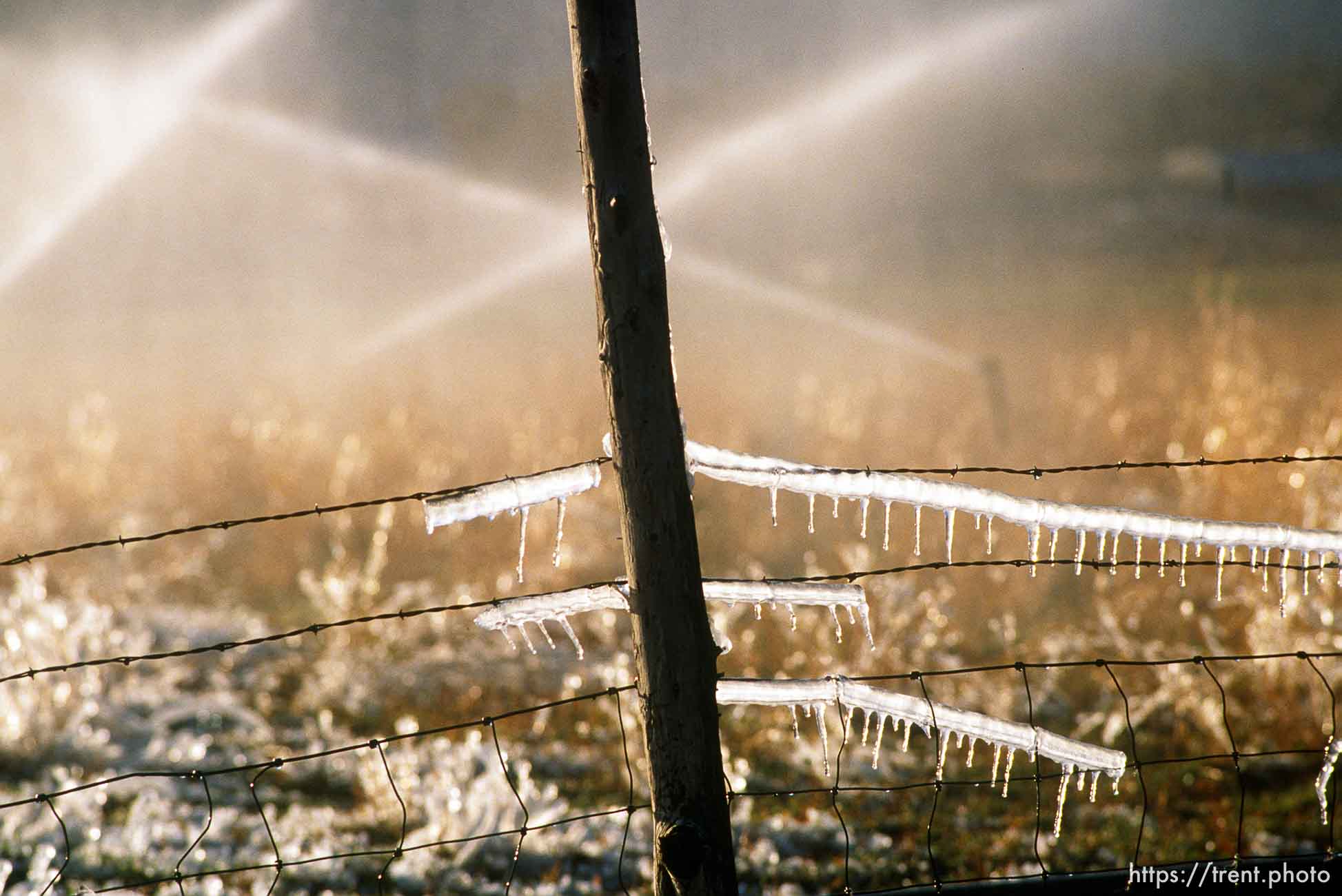 Sprinklers leave ice on a fence