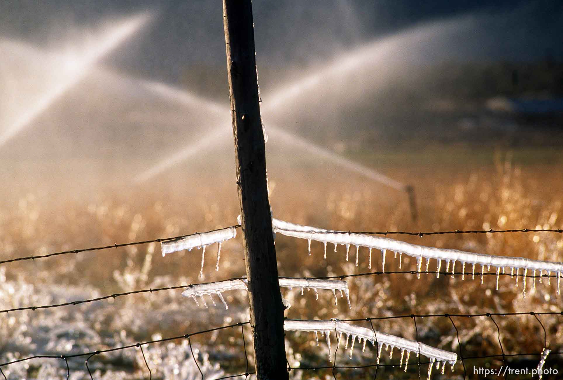 Sprinklers leave ice on a fence