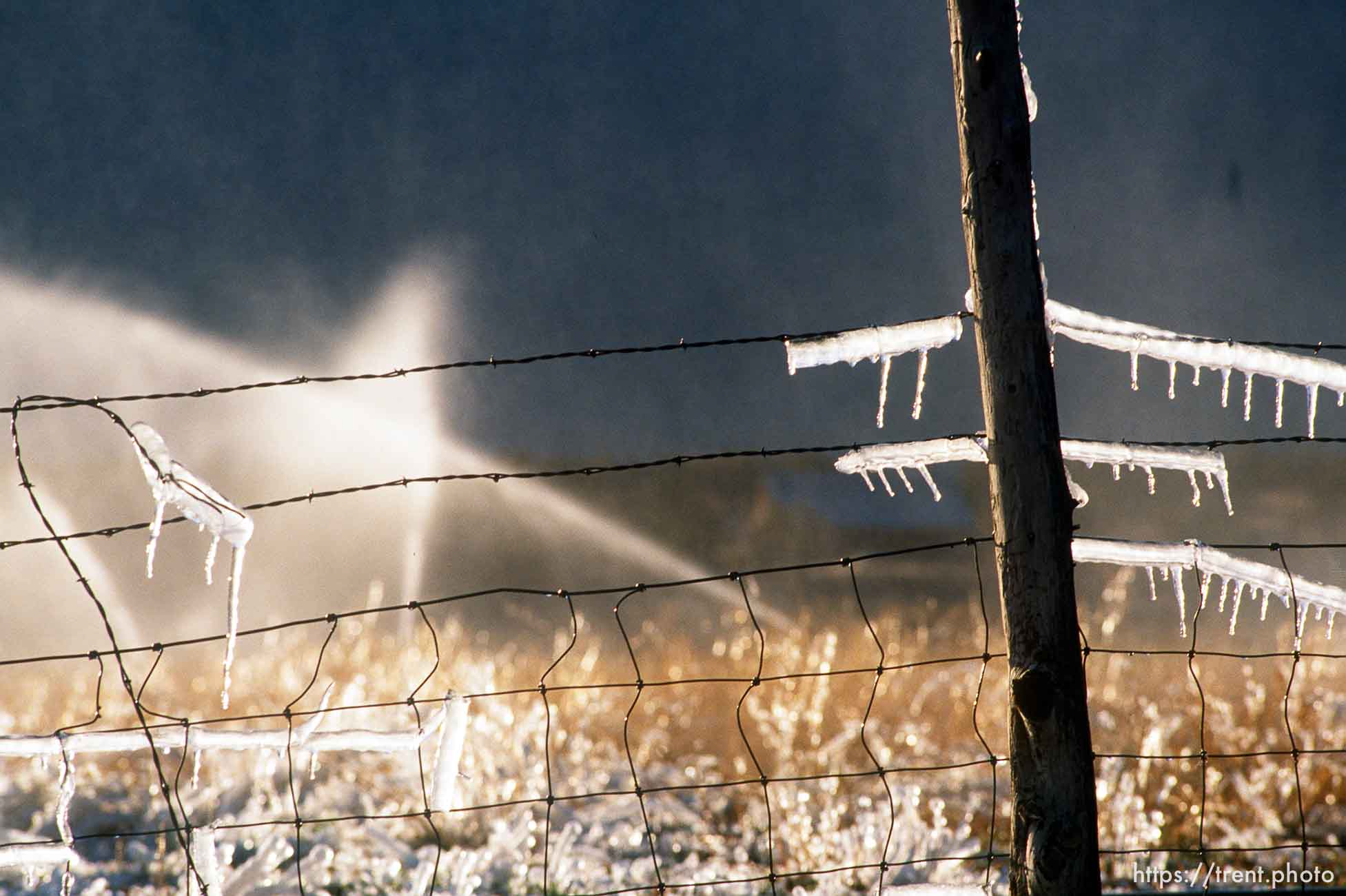 Sprinklers leave ice on a fence