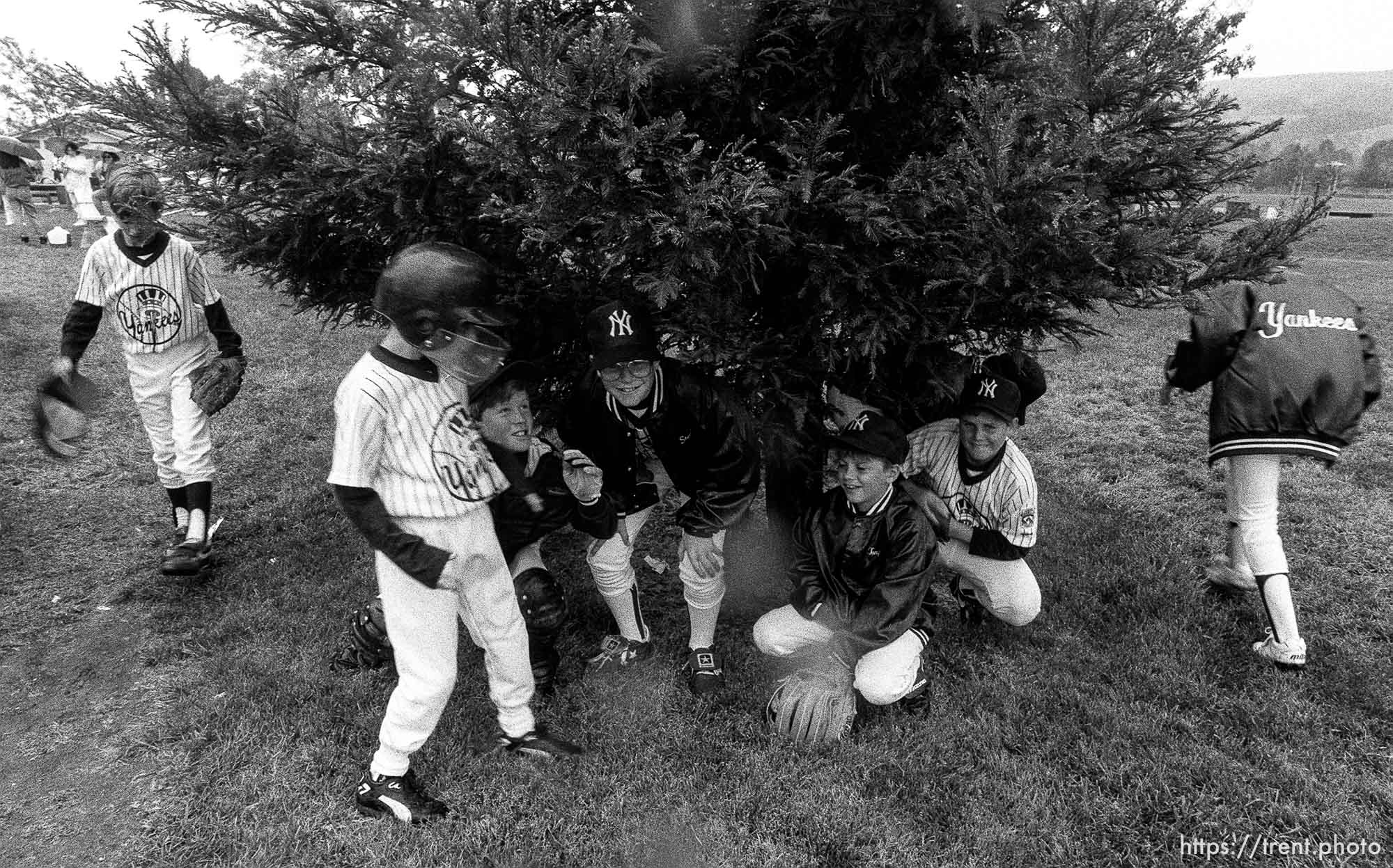 Players under tree trying to keep out of rain at Yankees game.