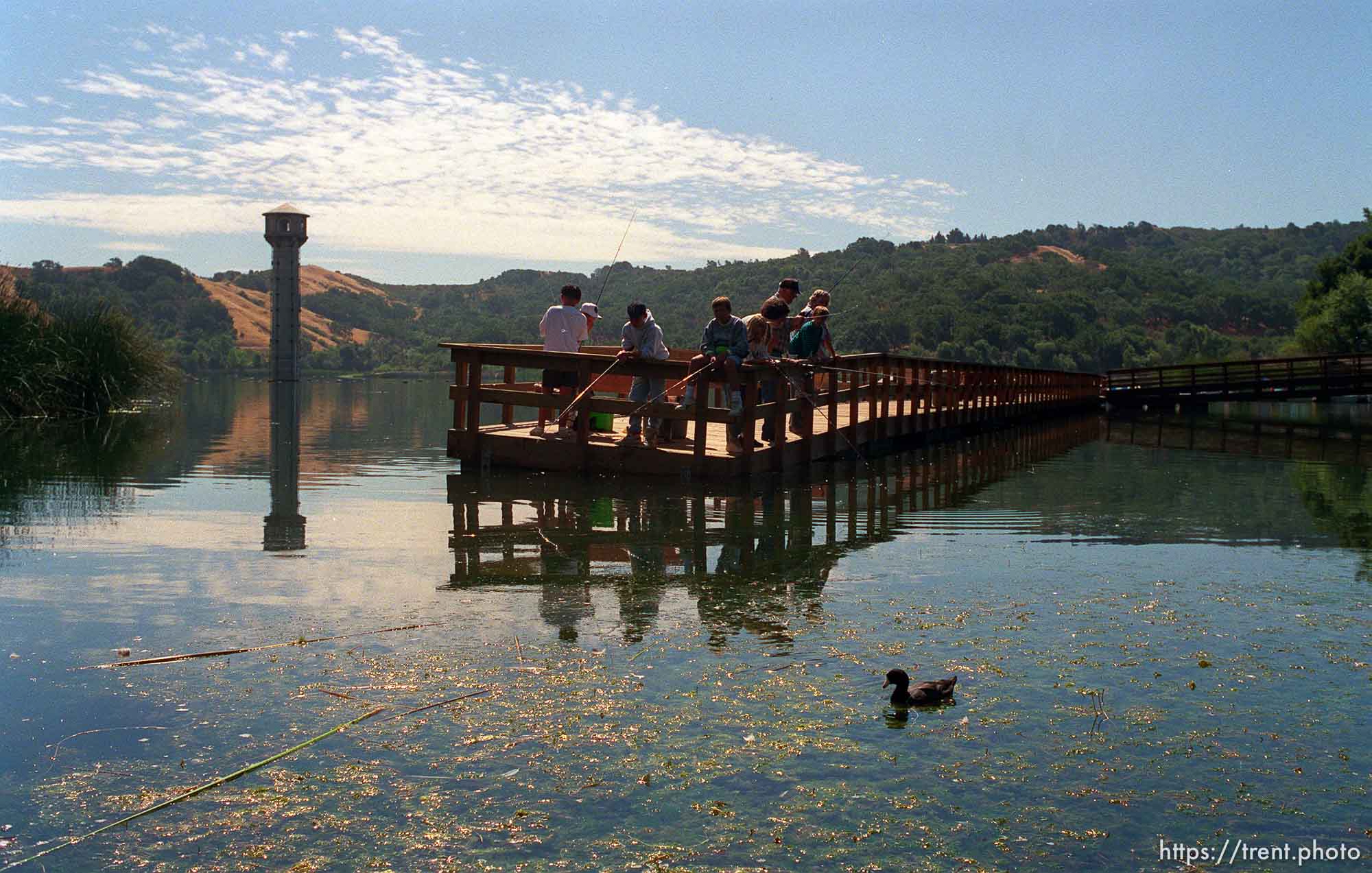 People fishing on dock and duck at the Lafayette Reservoir