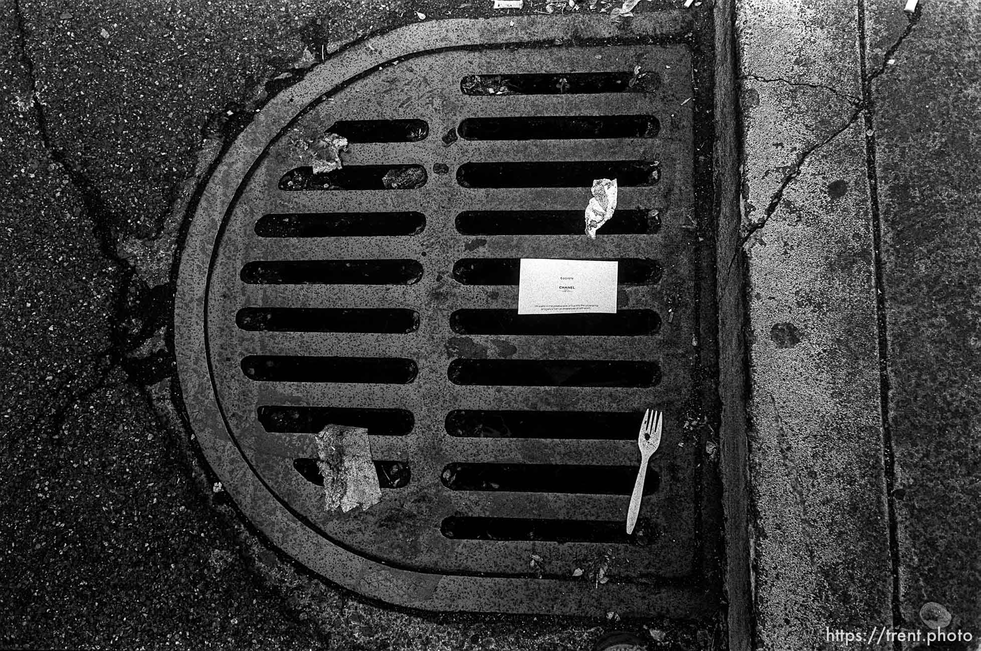 Sewer grate with fork