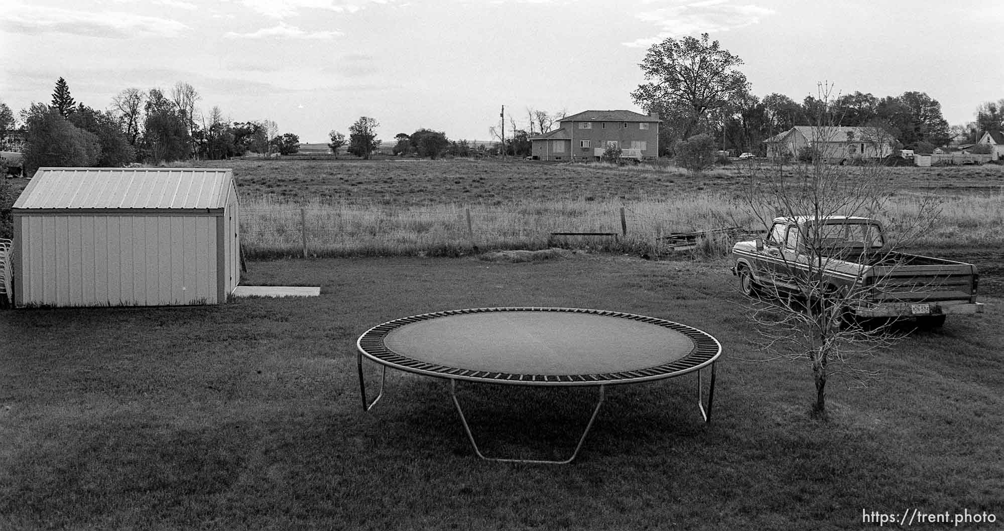 backyard with trampoline