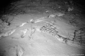 Snow and fence