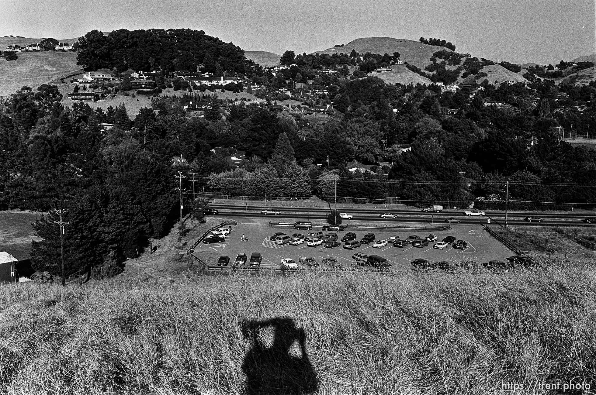 Trent shadow and lafayette homes on hill