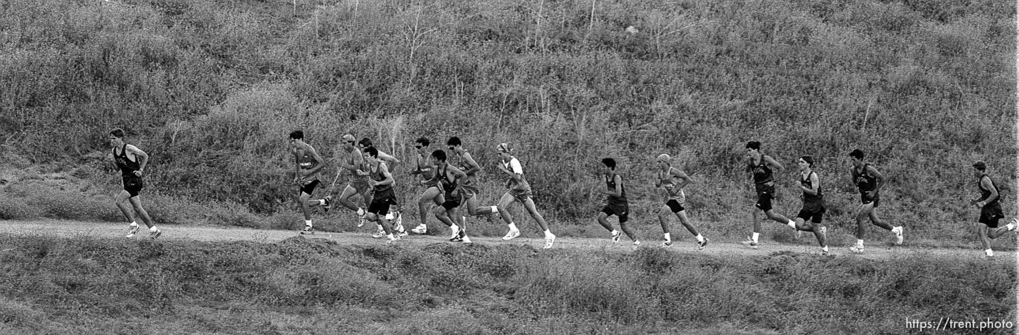 Acalanes vs. Campolindo cross-country runners