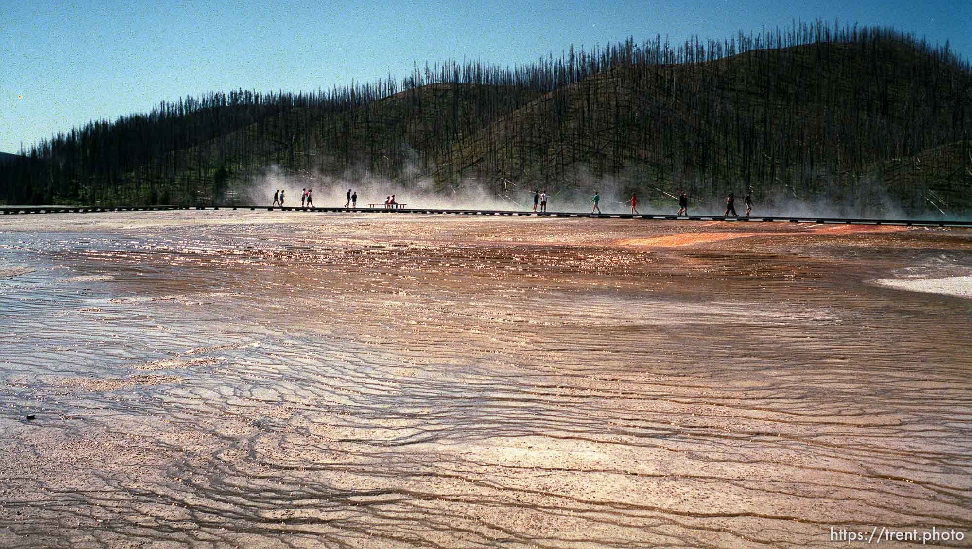 People looking at hot pots