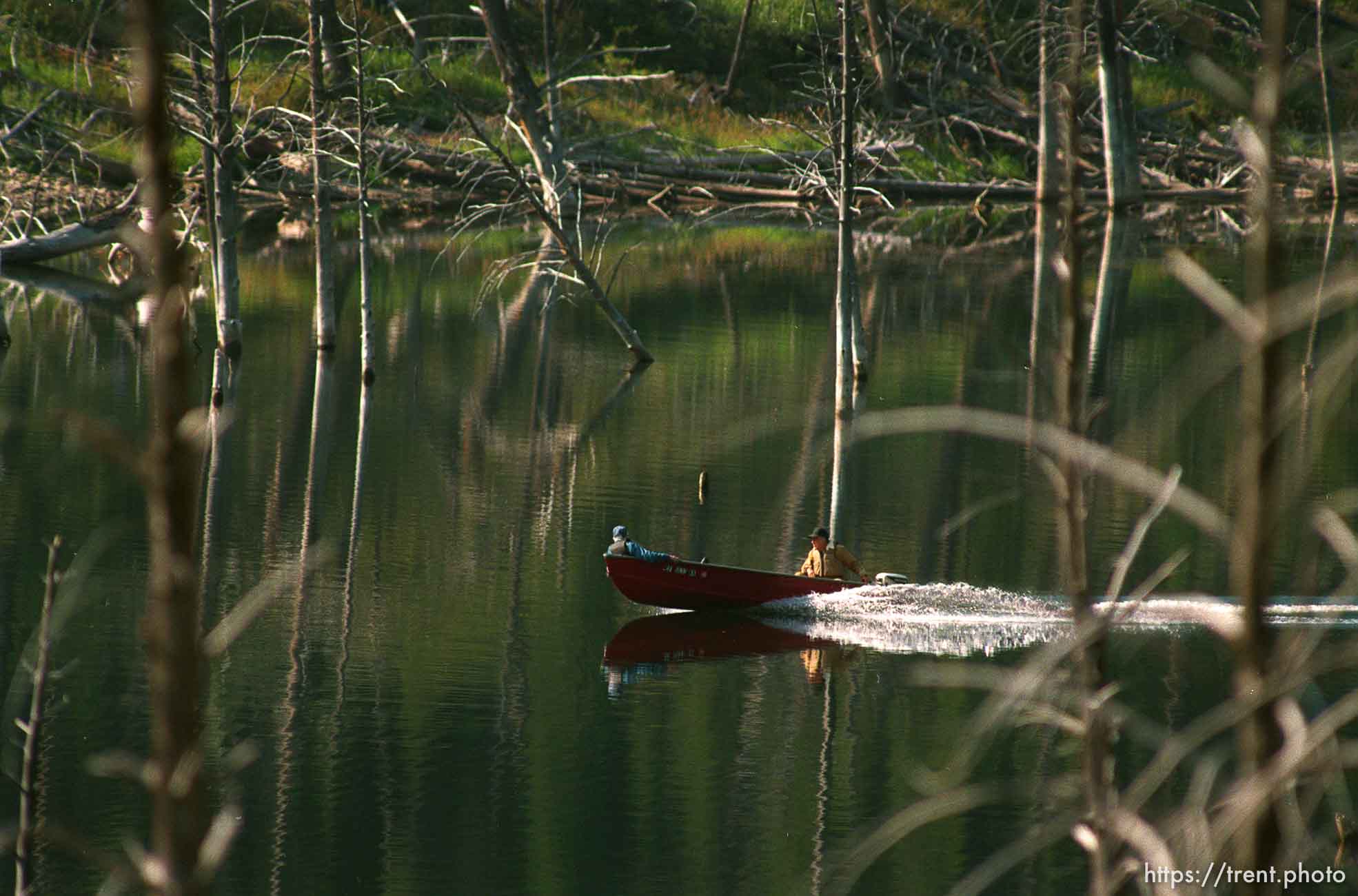 Canoe in lake through trees