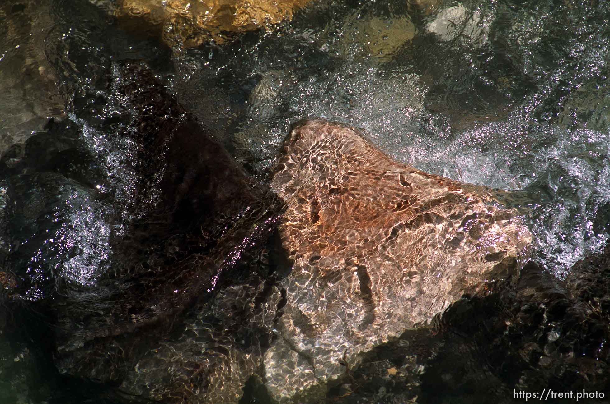 Water on rocks at Johnston Falls.