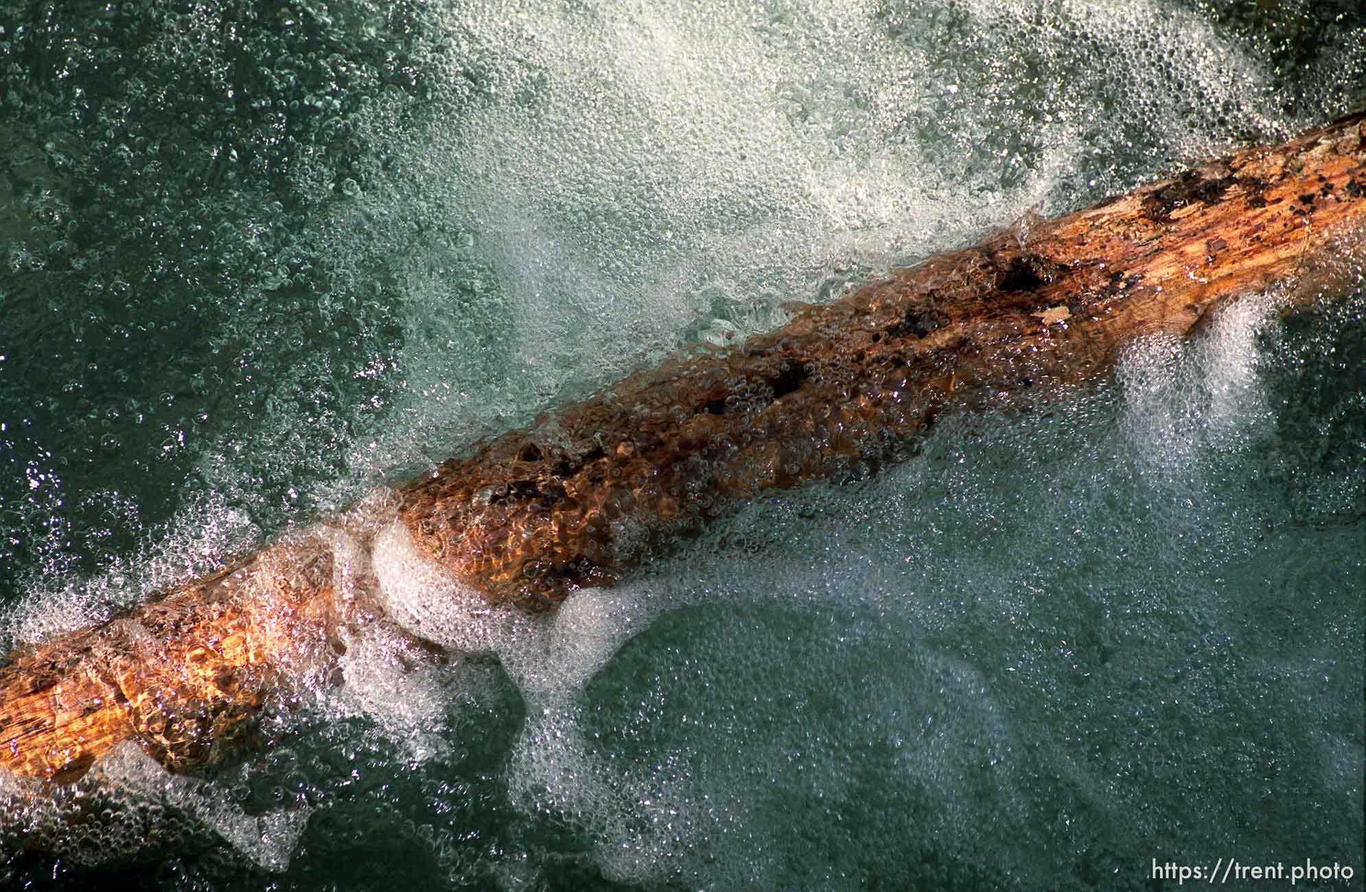 Water and bubbles on log at Johnston Falls.